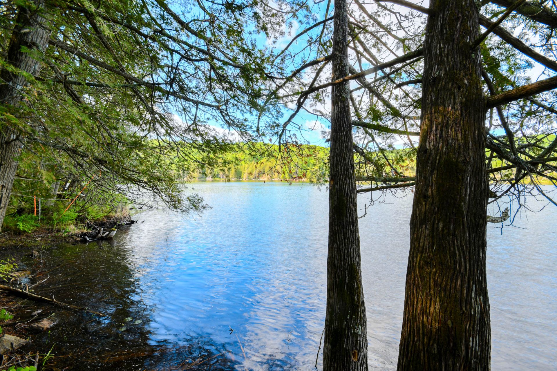 Bord de l'eau