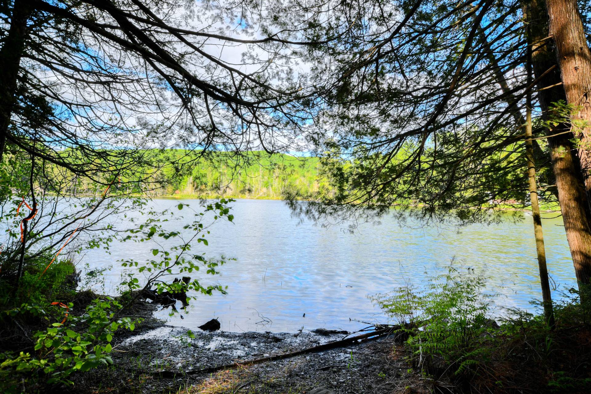 Bord de l'eau