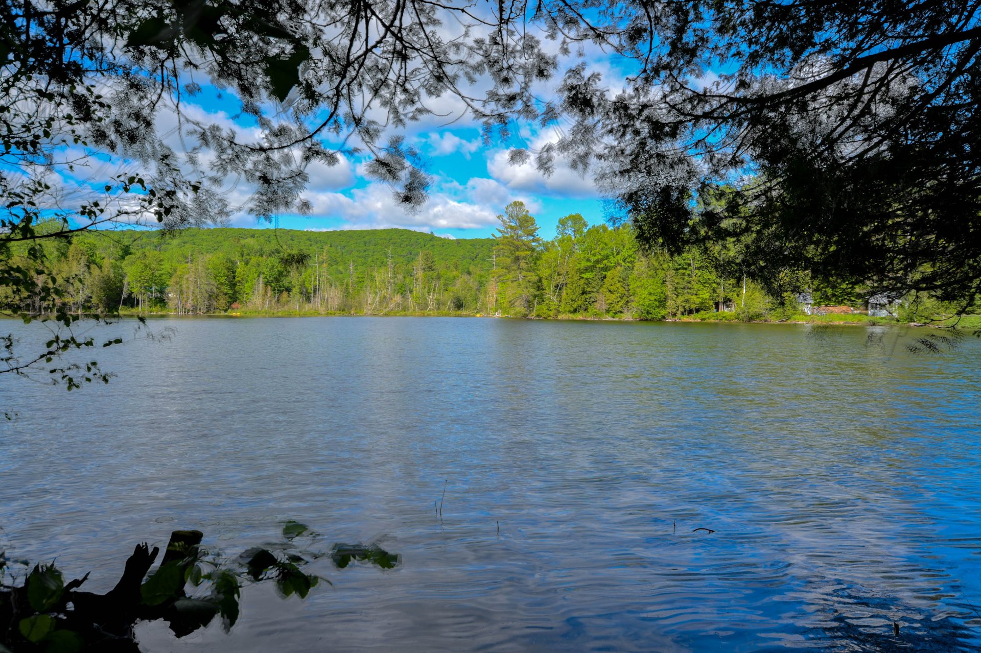 Bord de l'eau