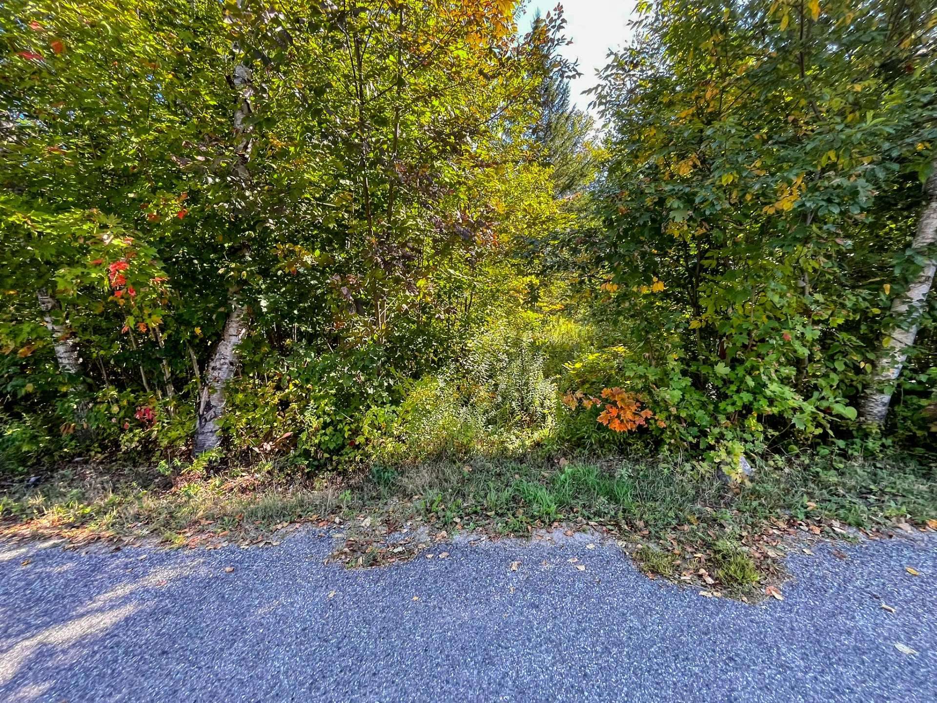 Land/Lot