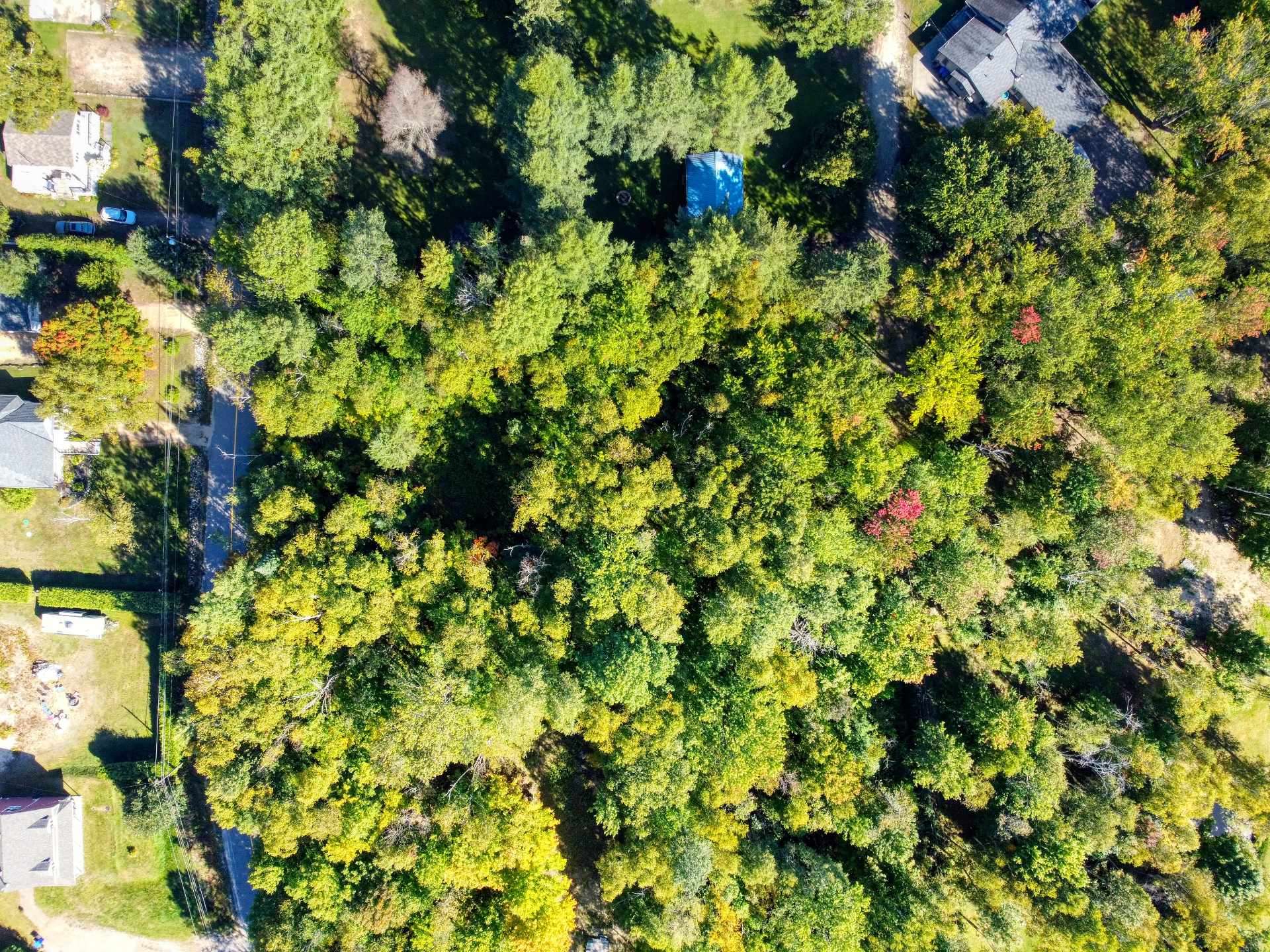 Aerial photo