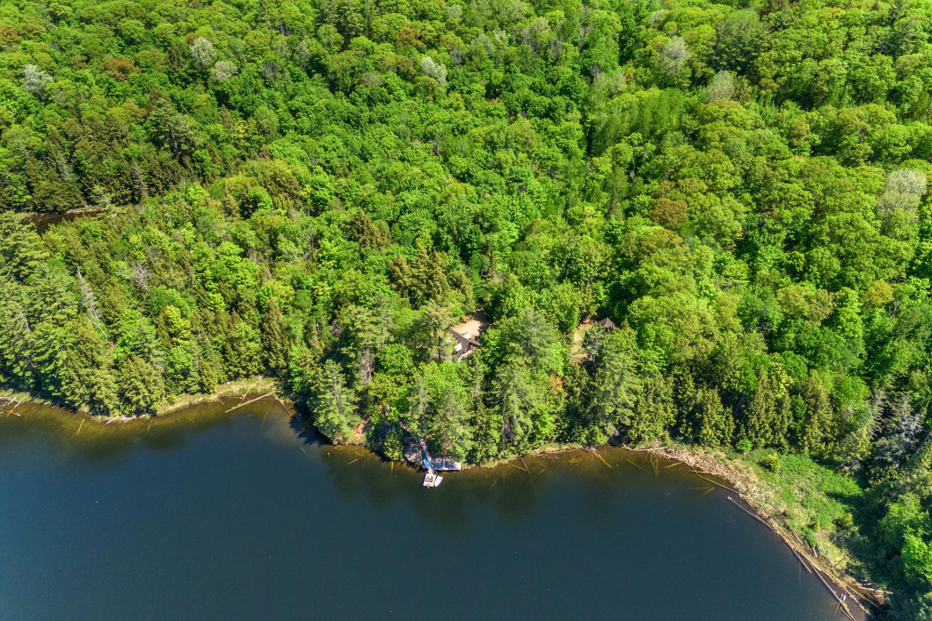 Aerial photo