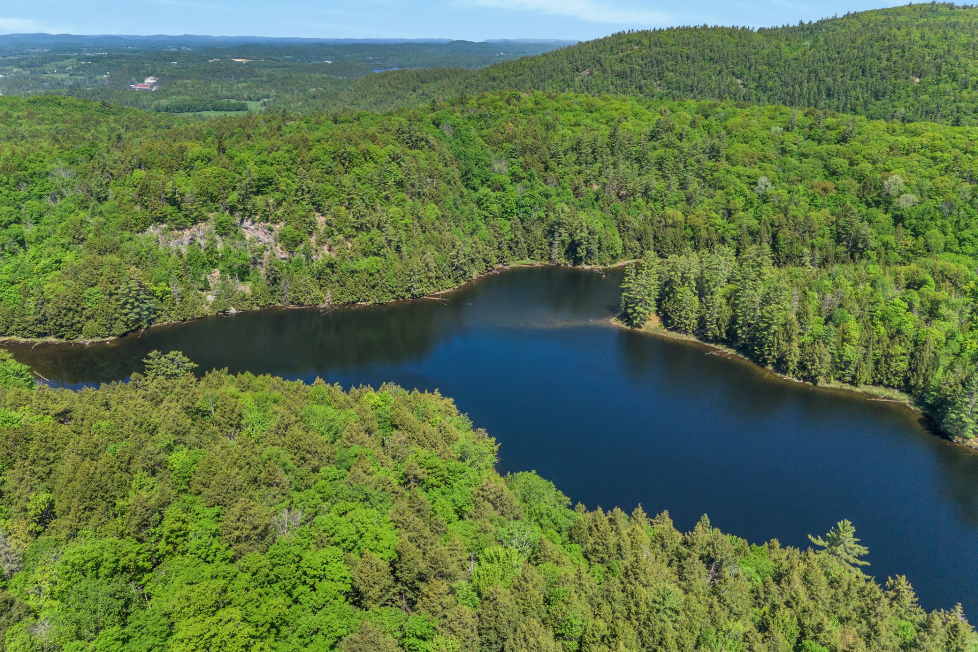 Aerial photo