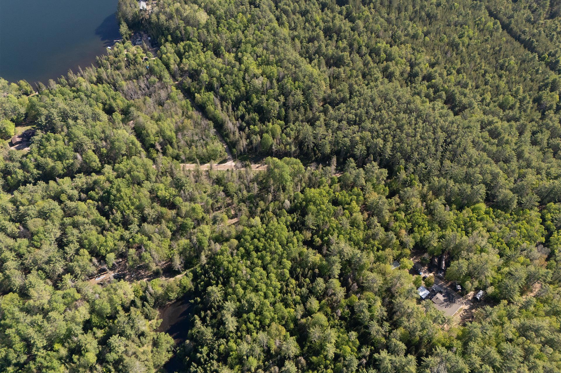 Aerial photo