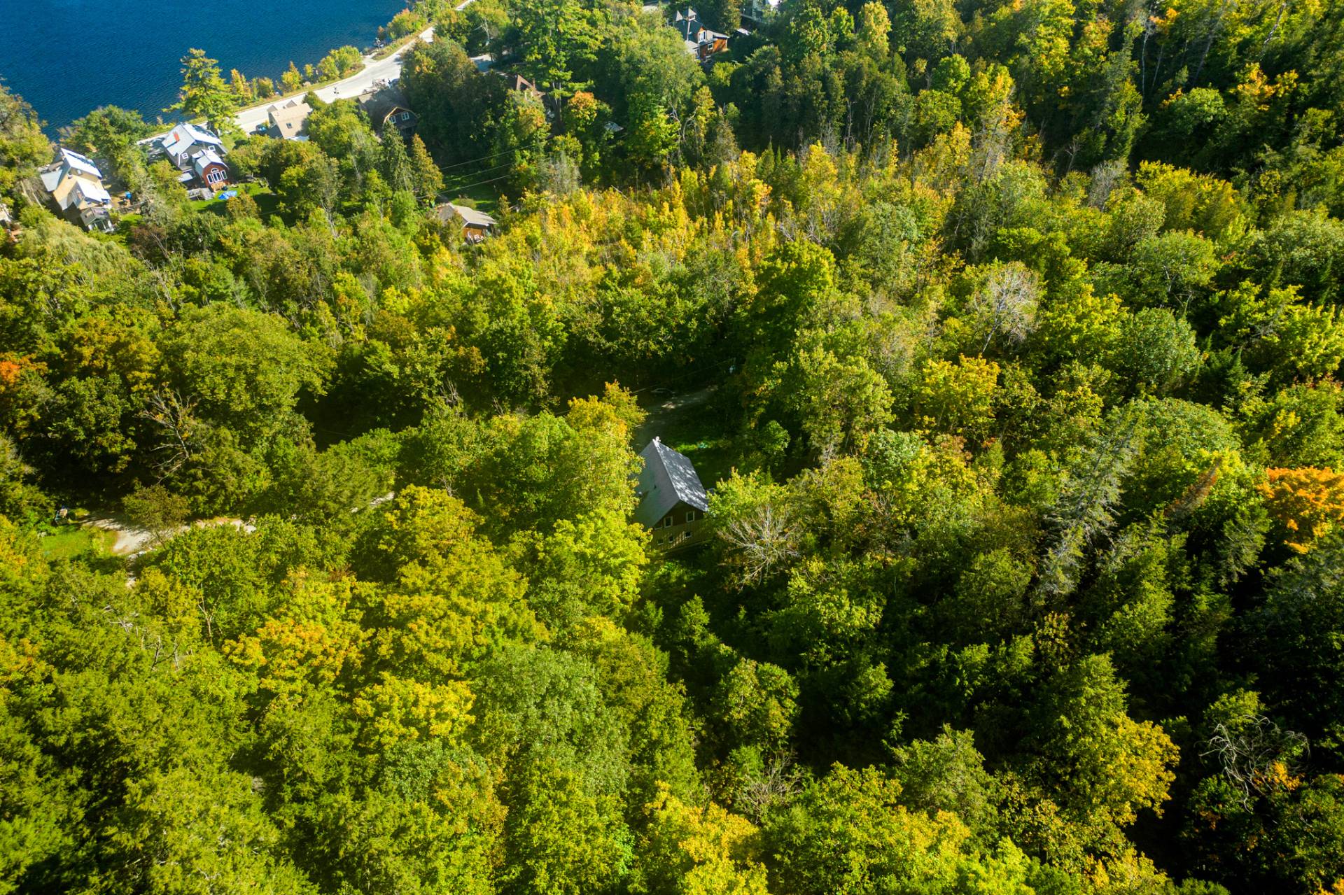 Aerial photo