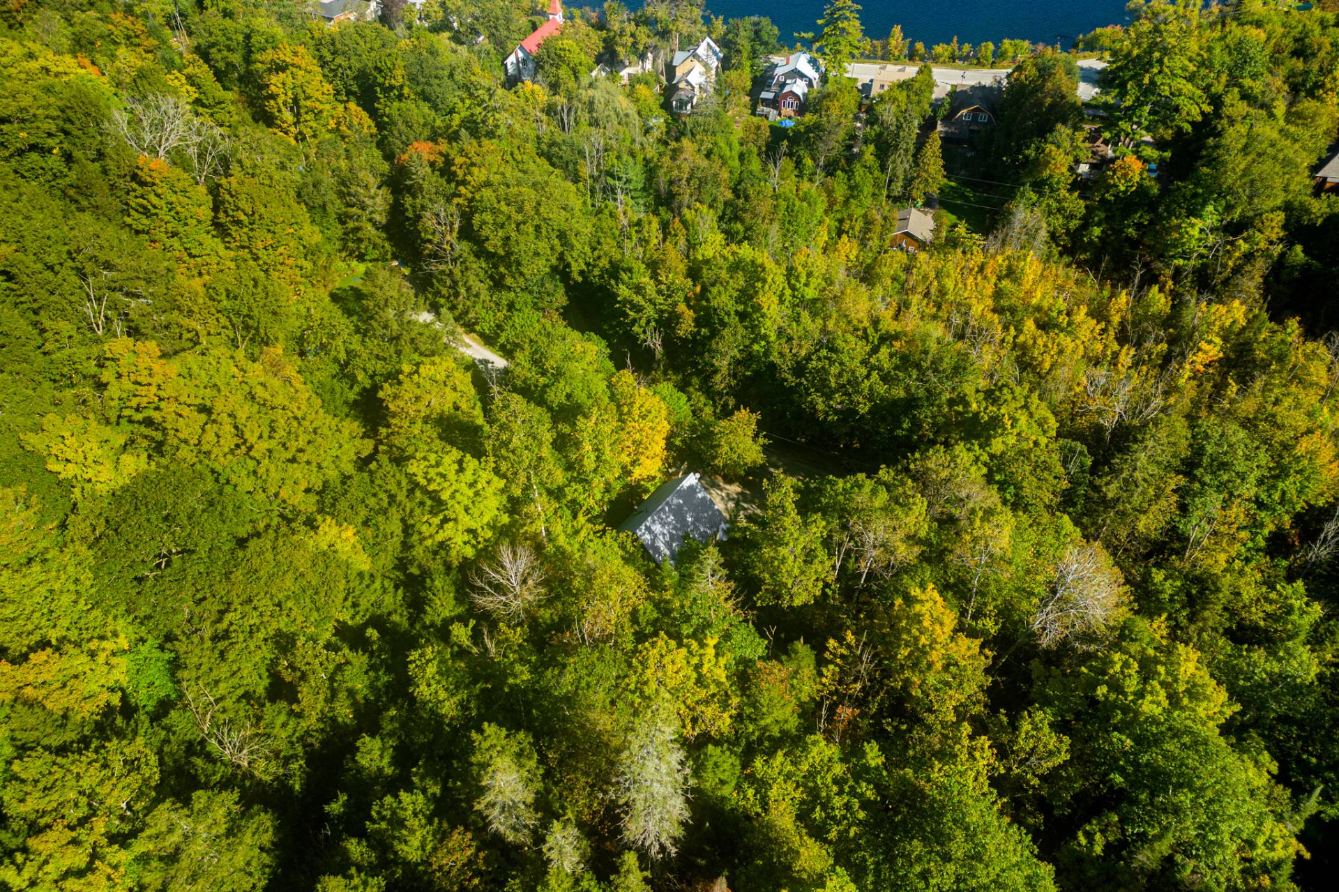 Aerial photo