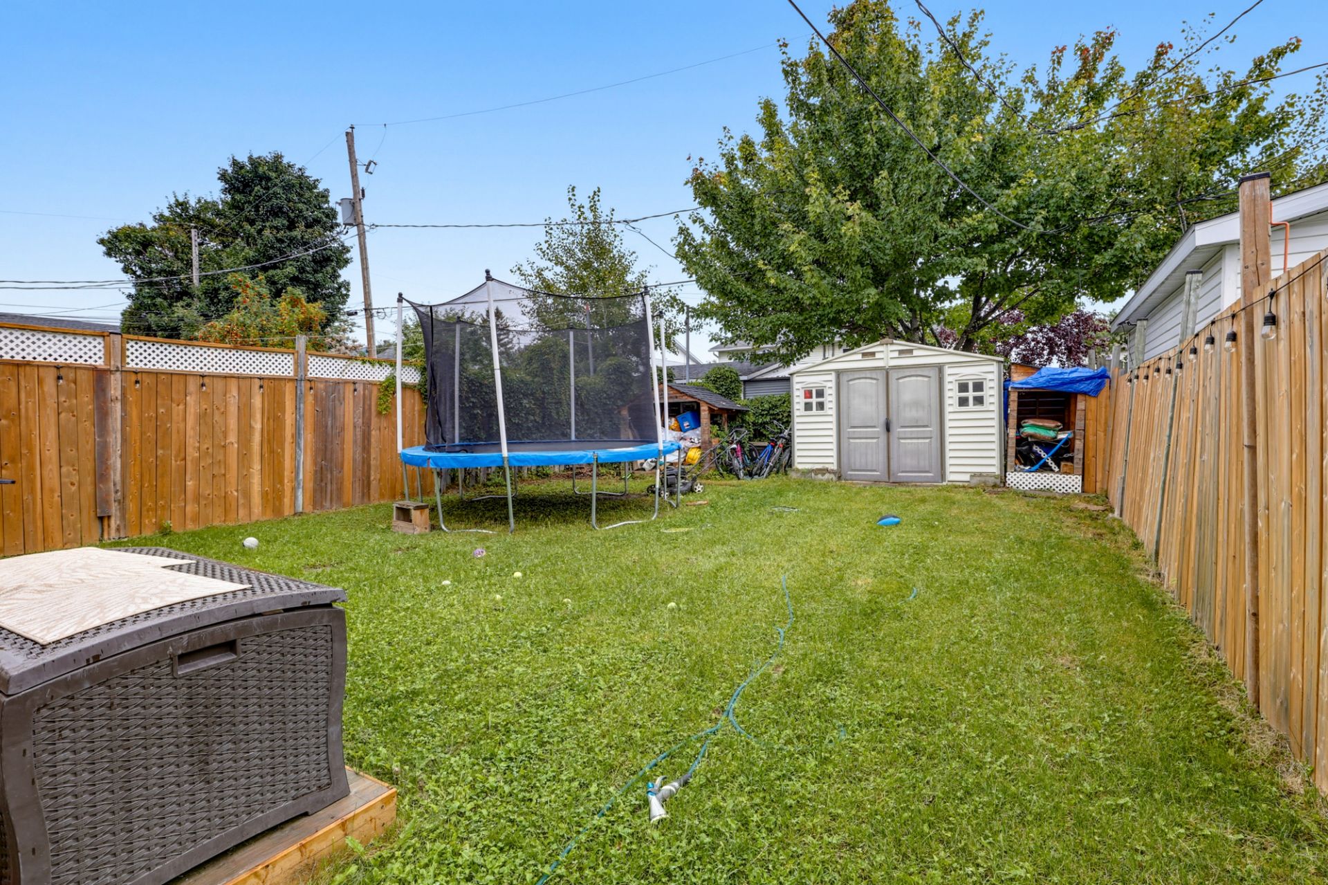 Backyard