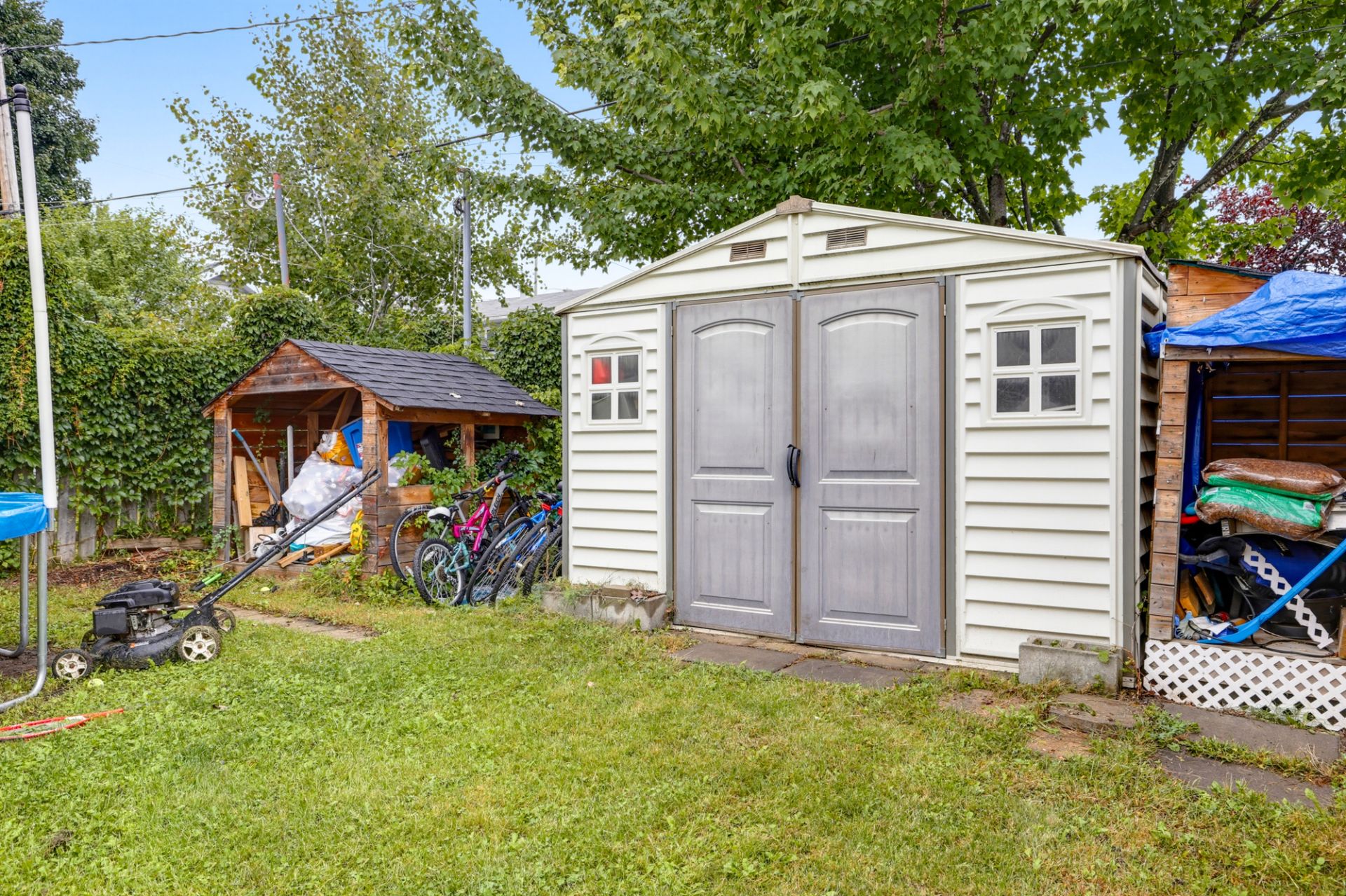 Shed
