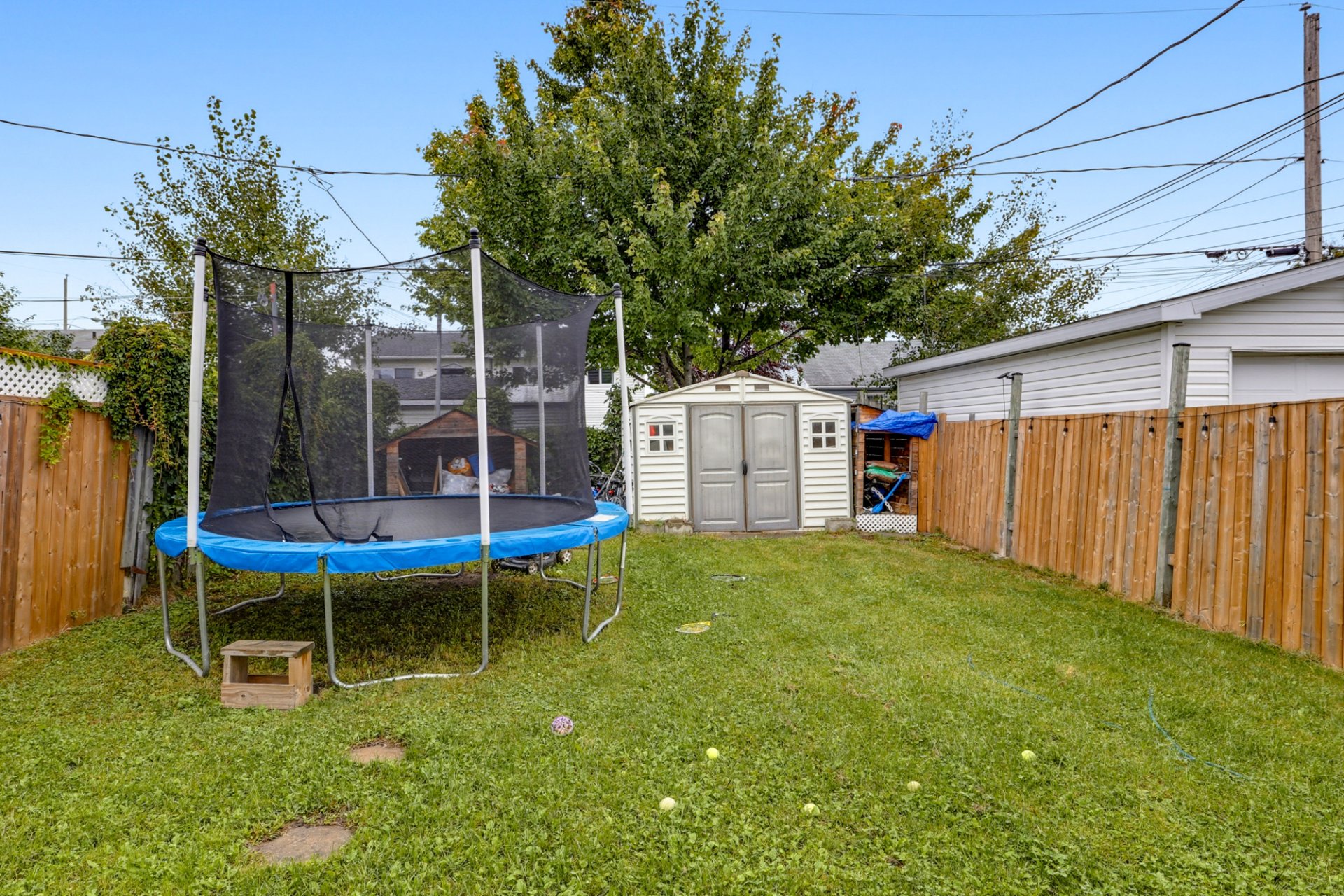 Backyard