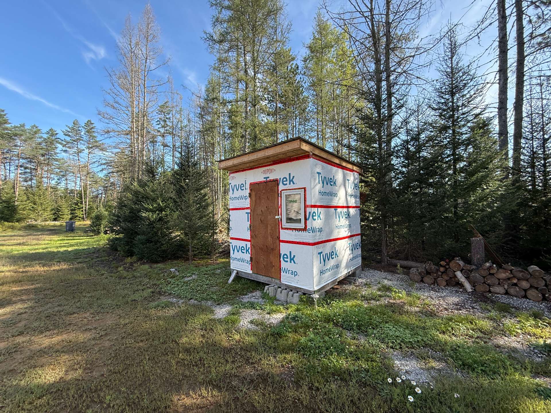 Shed
