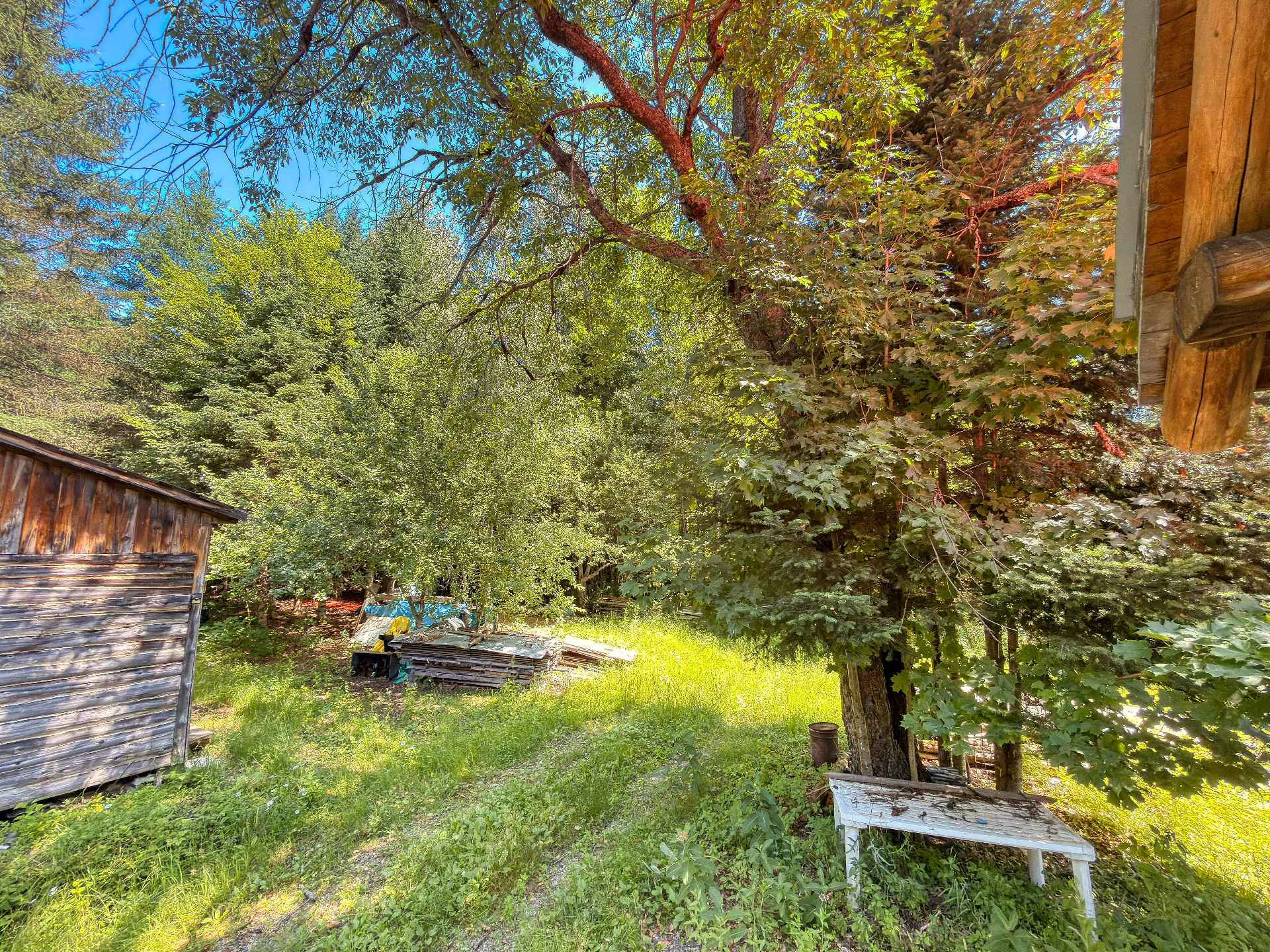 Backyard
