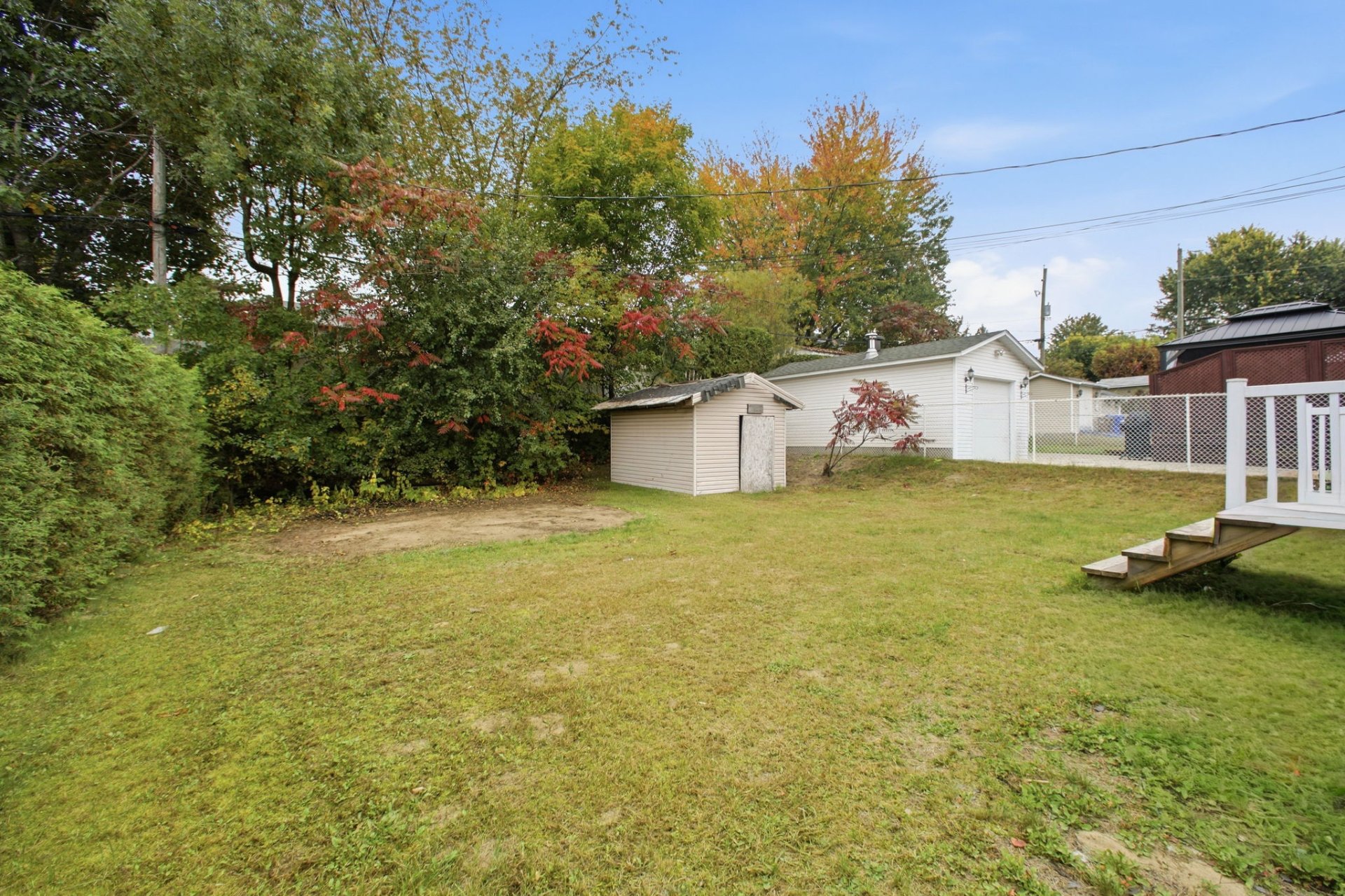 Backyard