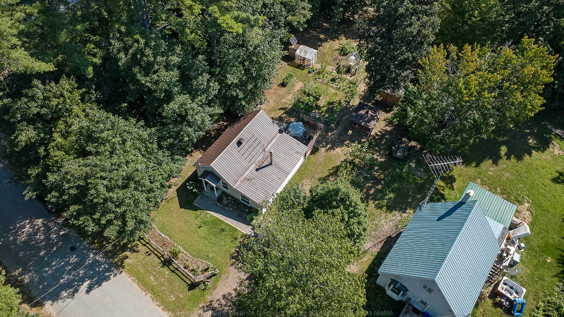 Overall view