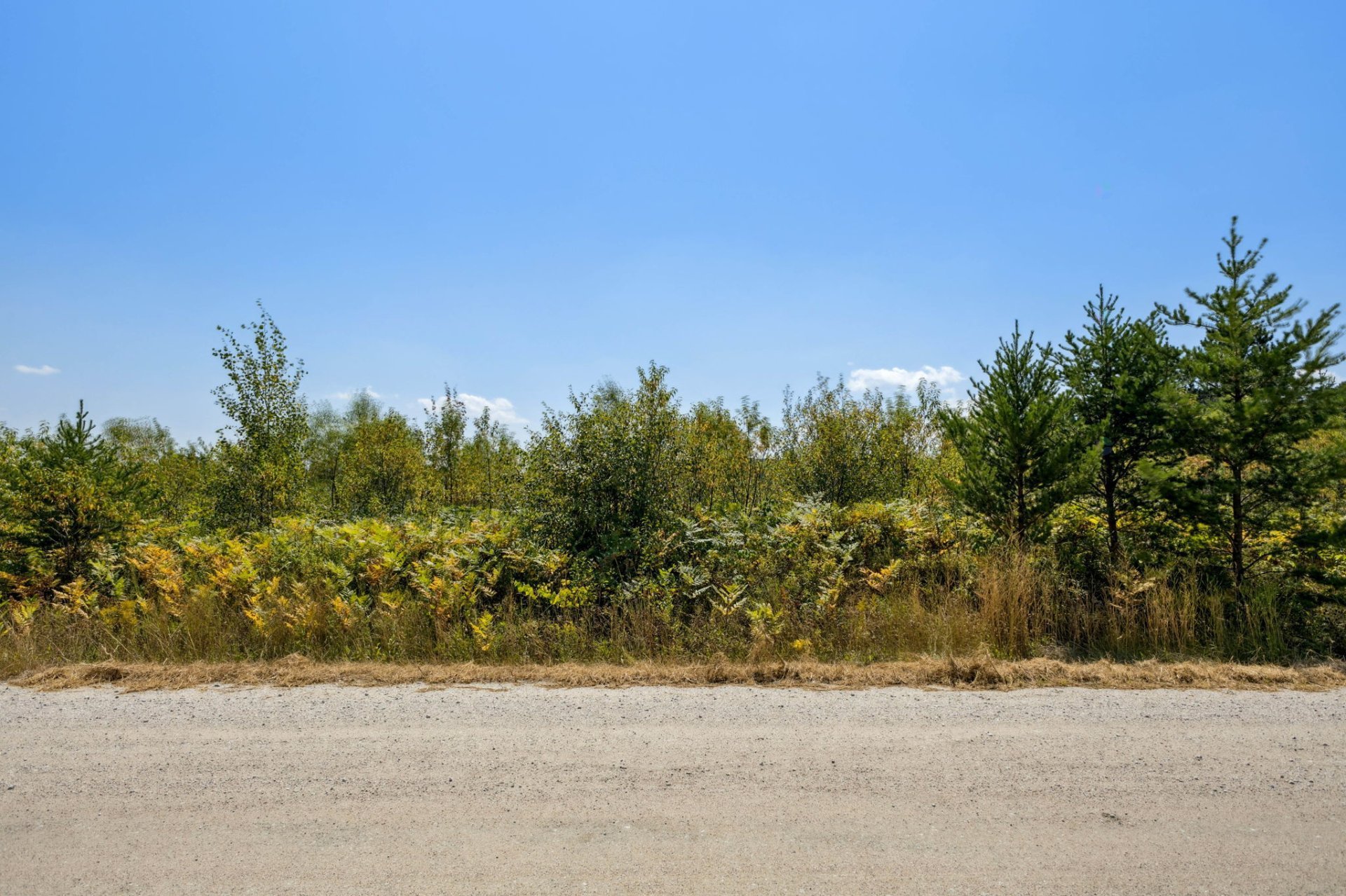 Land/Lot