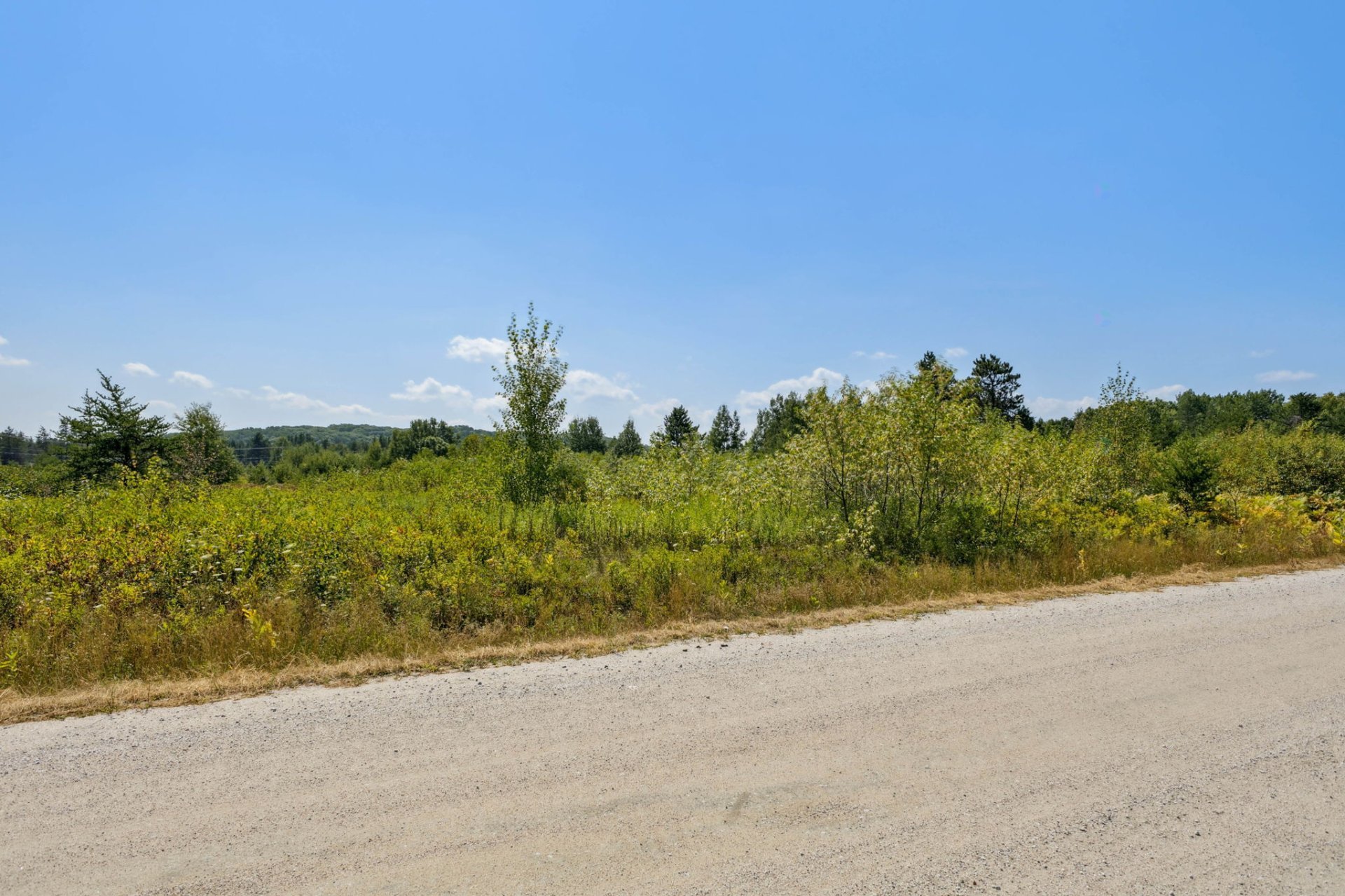 Land/Lot