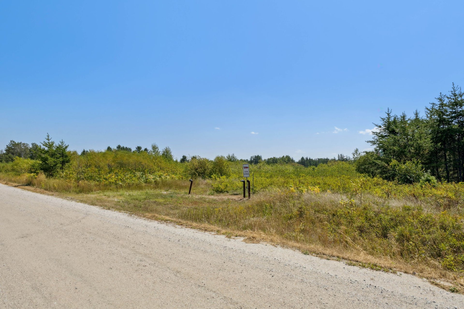 Land/Lot