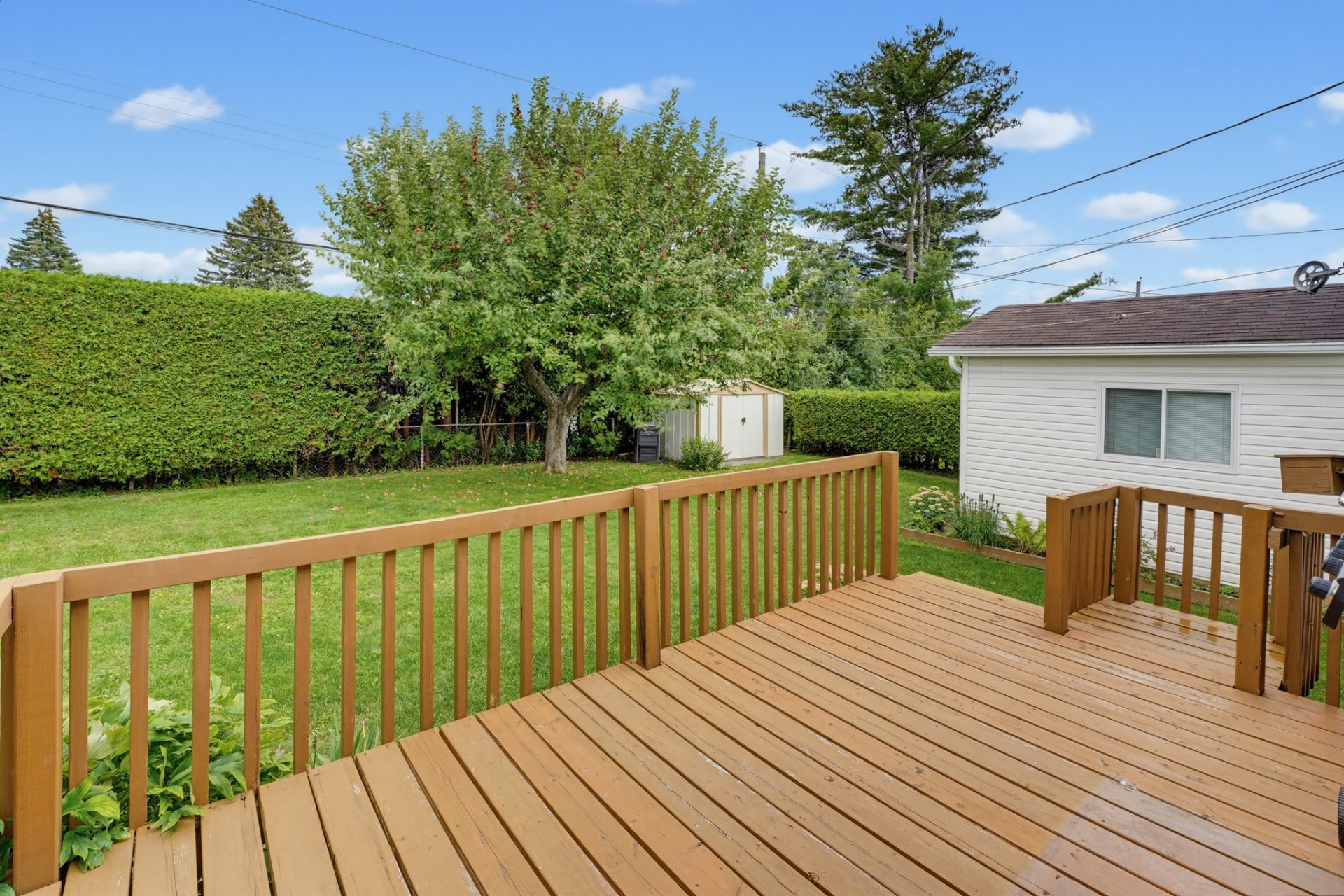 Backyard