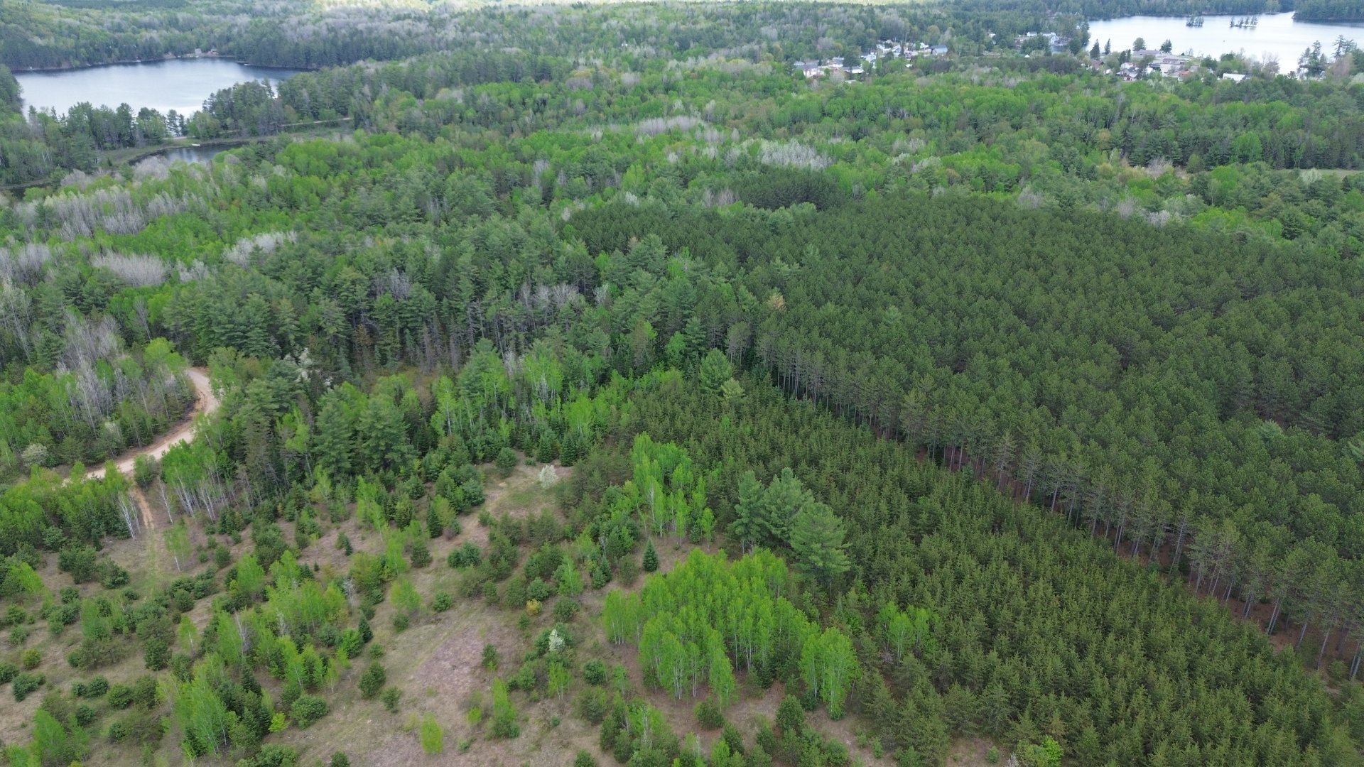 Overall view