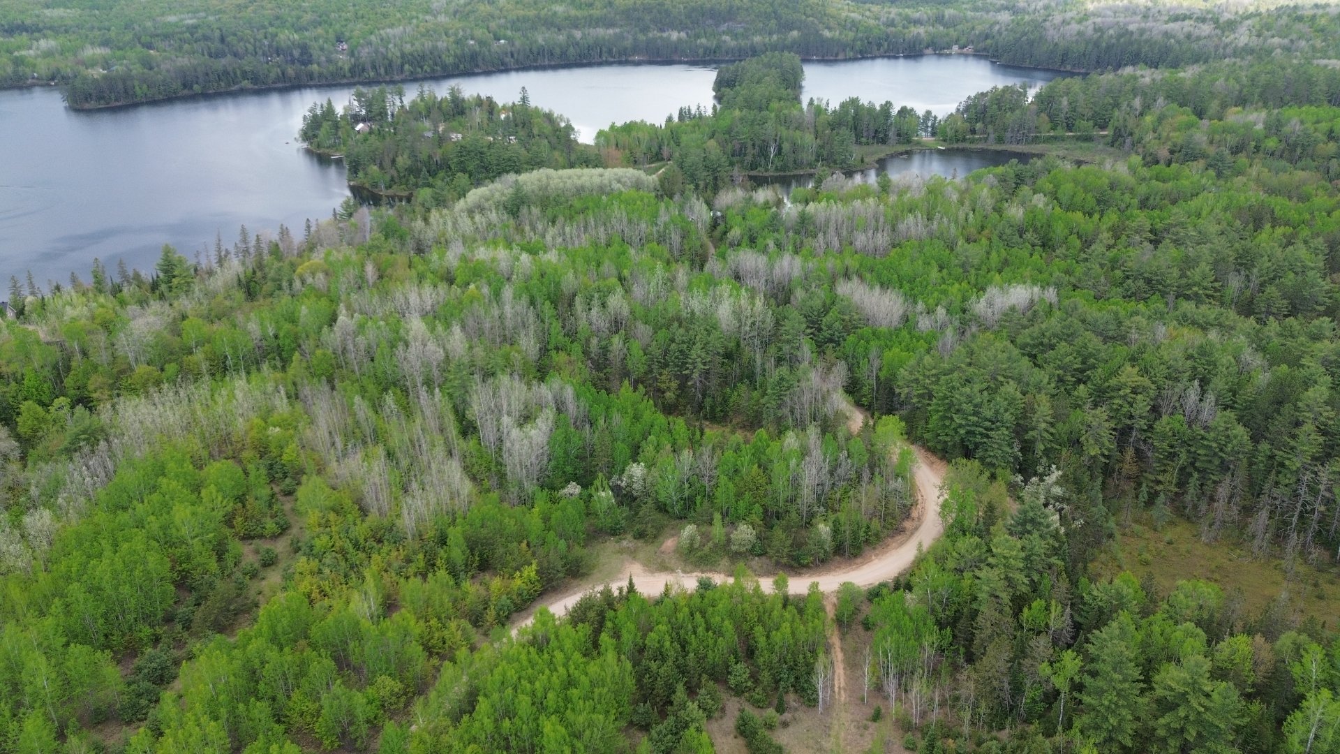 Overall view