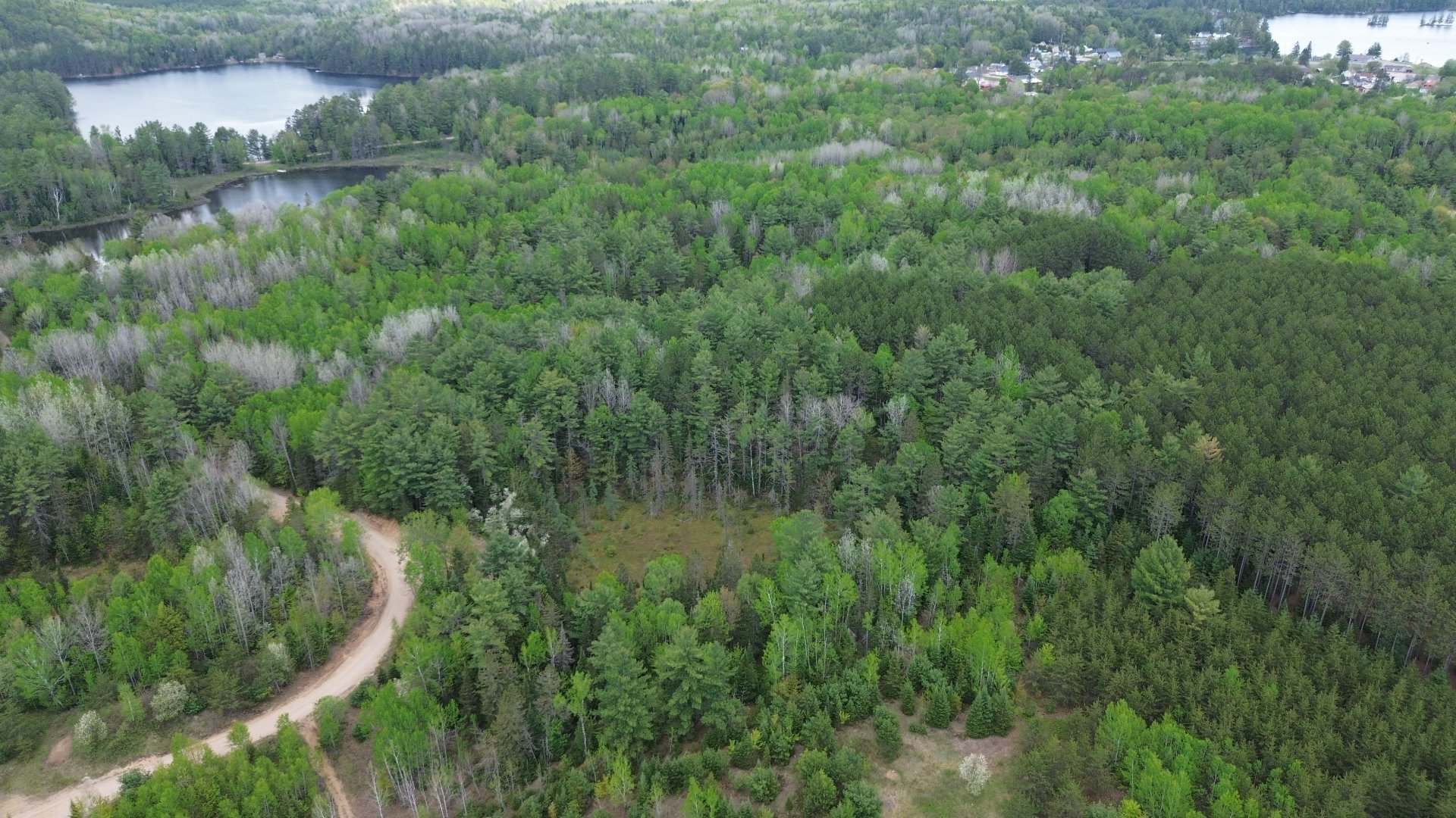 Overall view