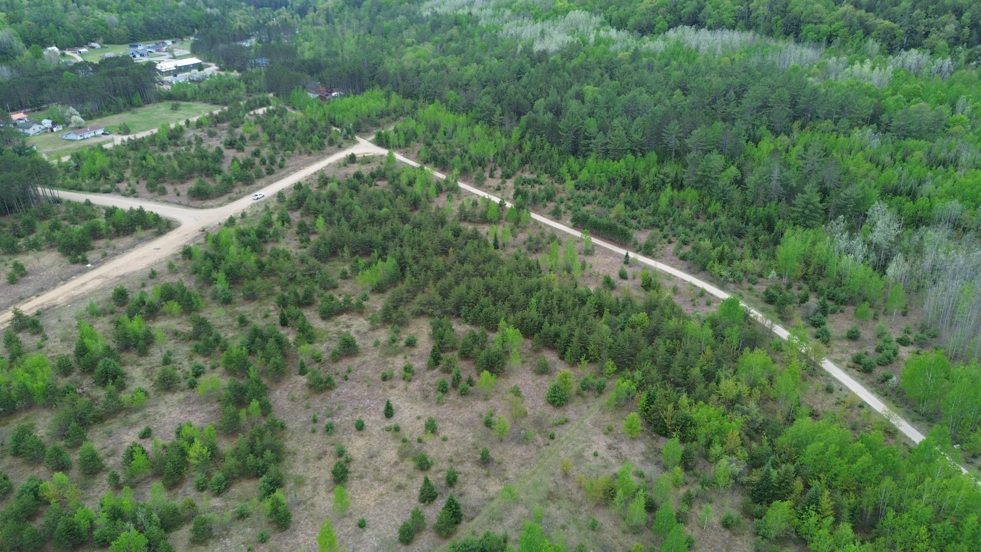 Overall view