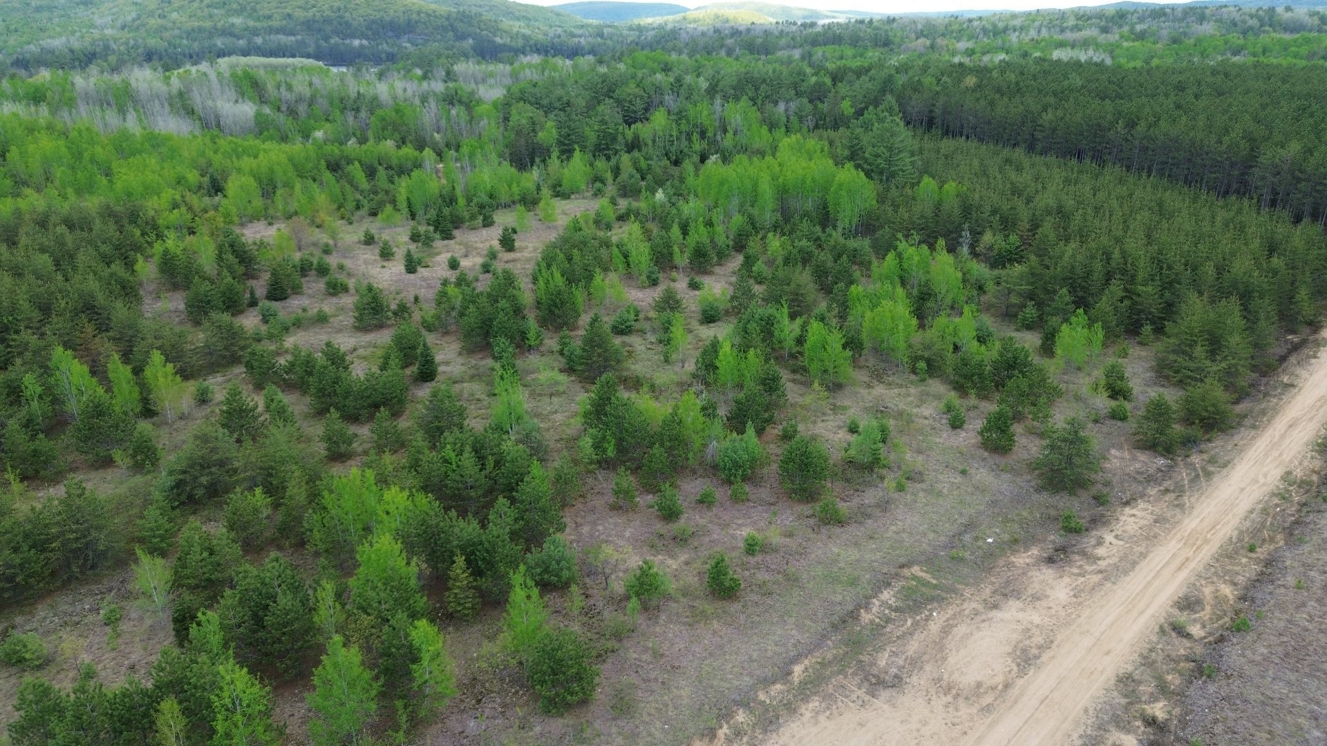 Overall view