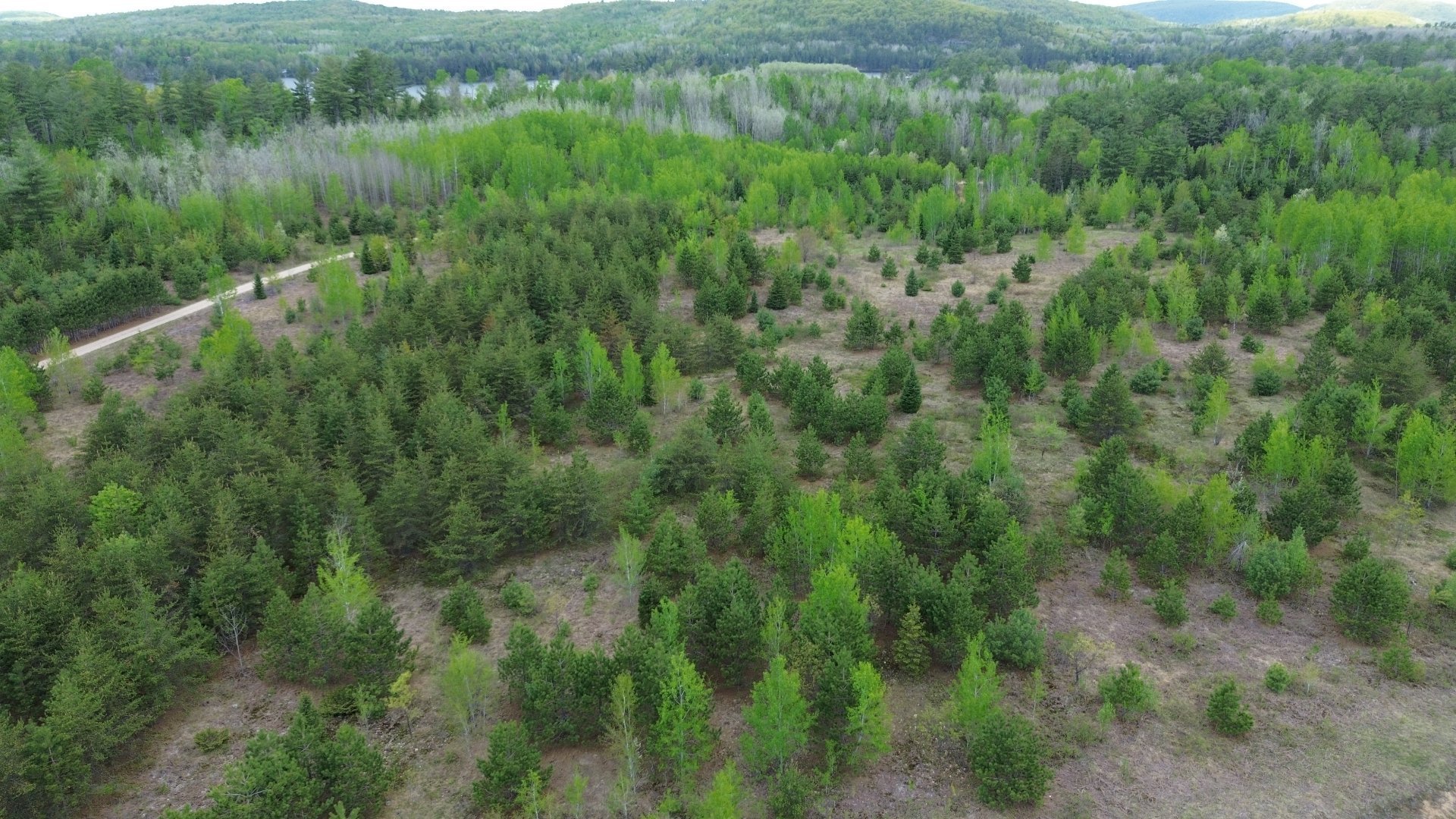 Overall view