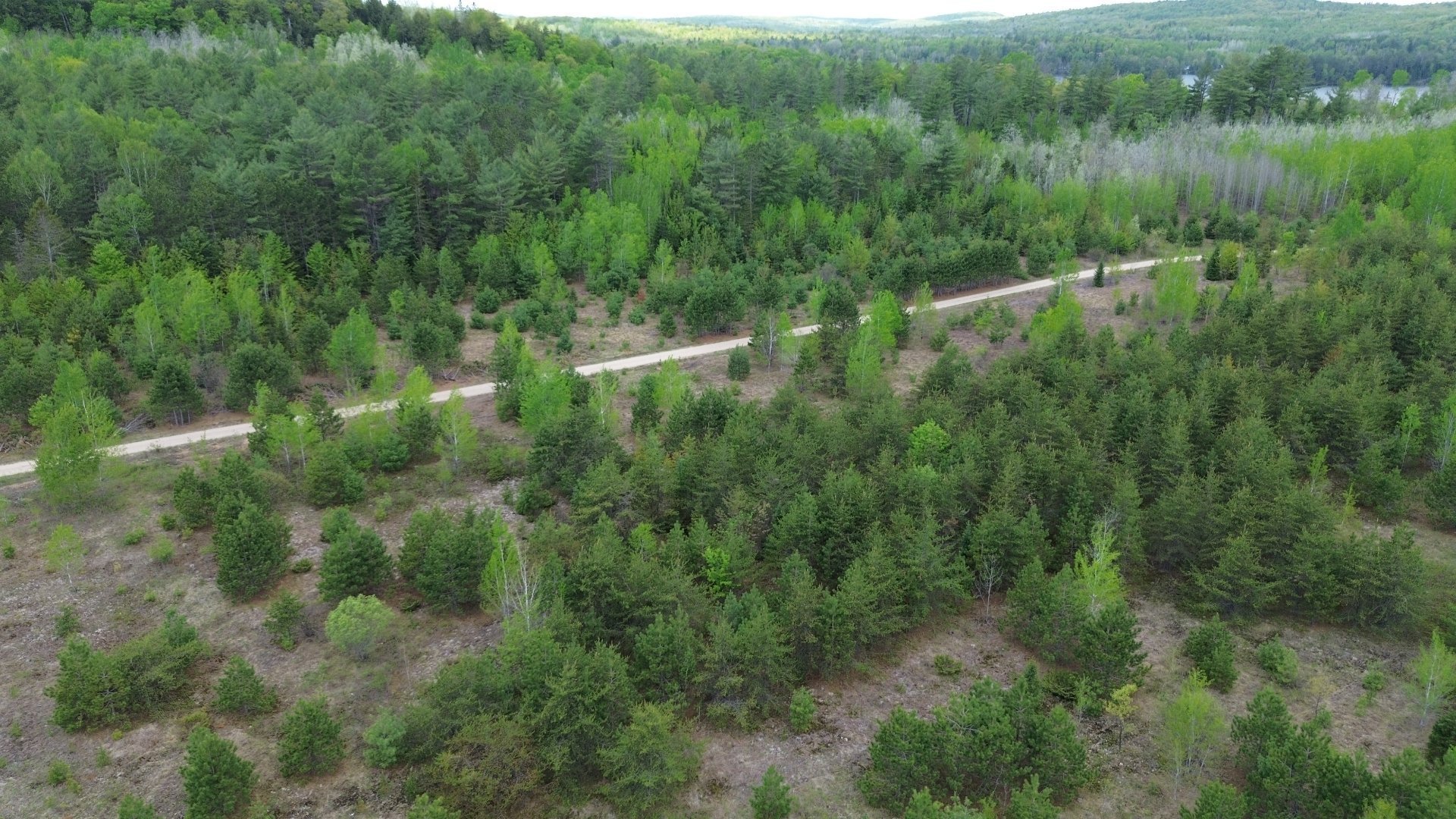 Overall view