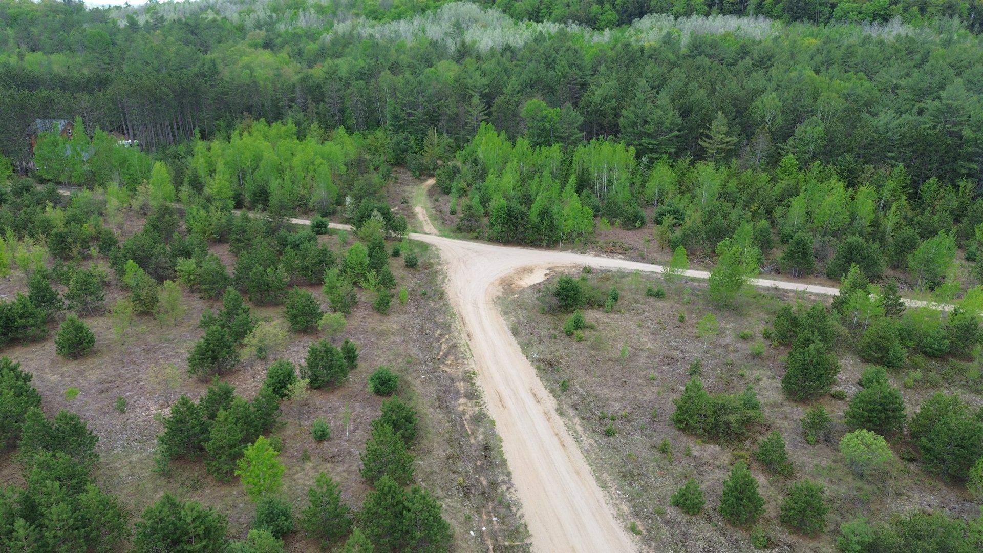 Overall view
