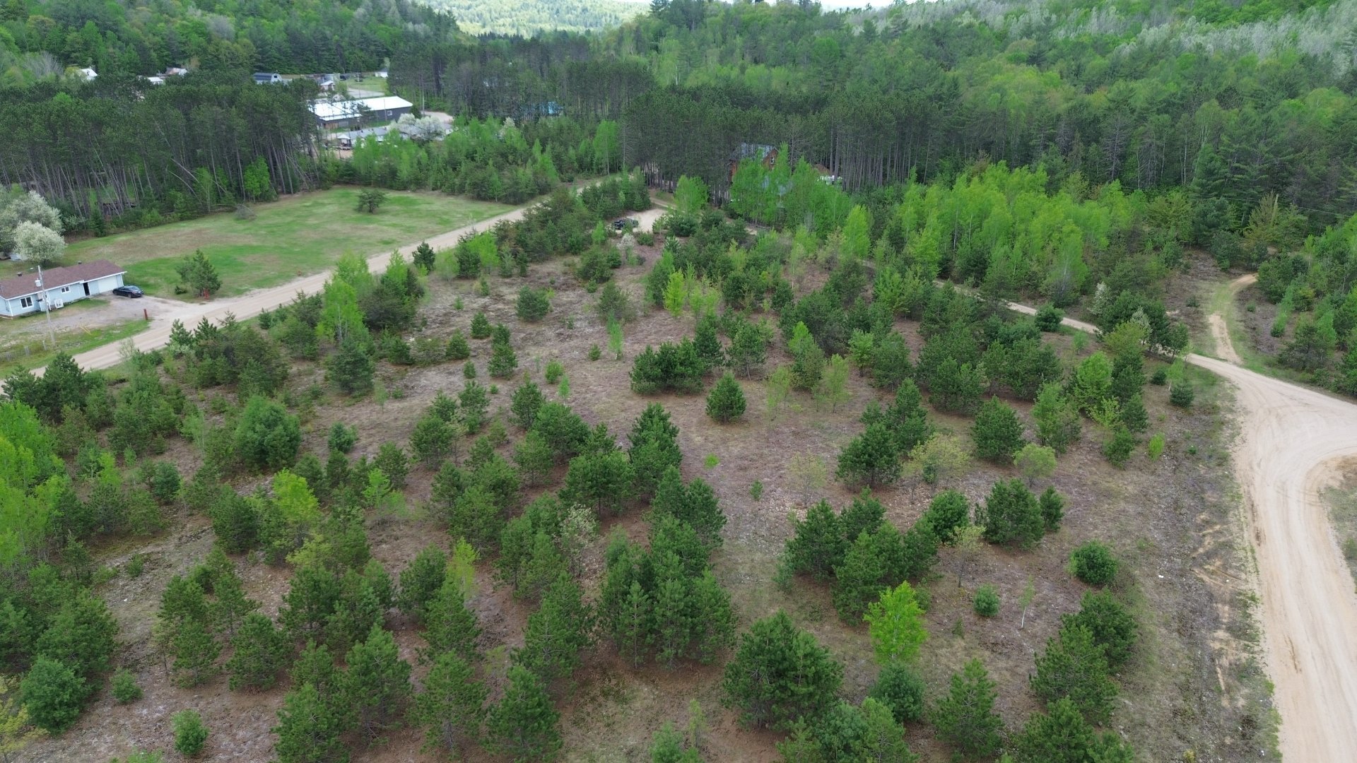 Overall view
