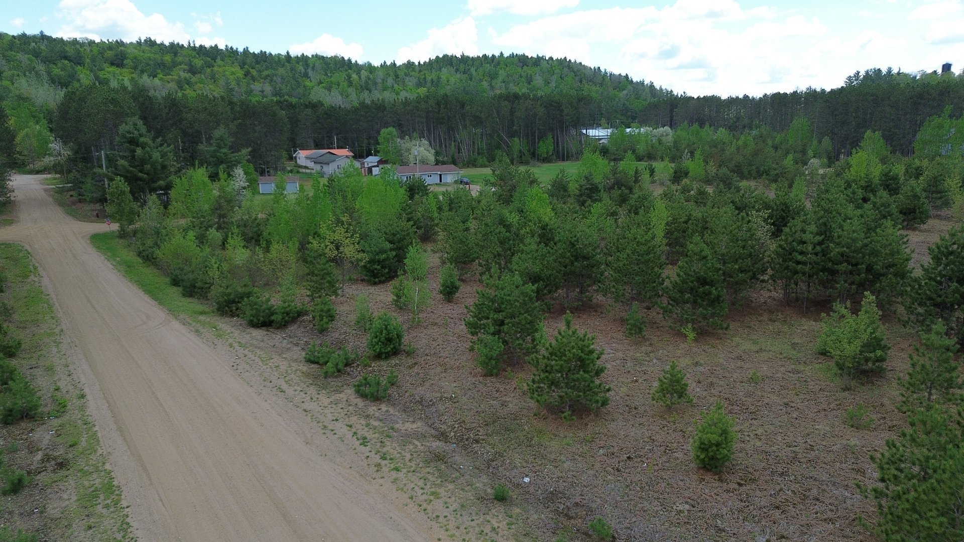 Overall view