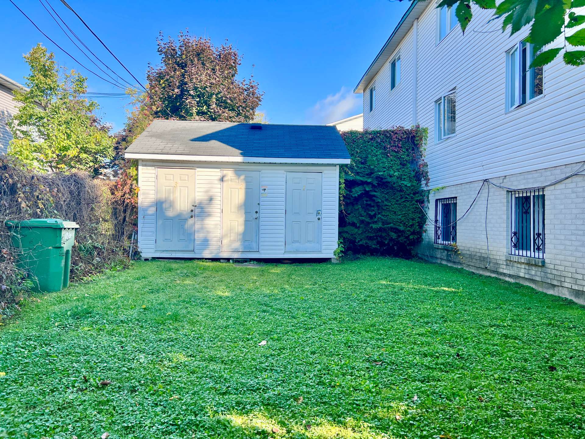 Shed