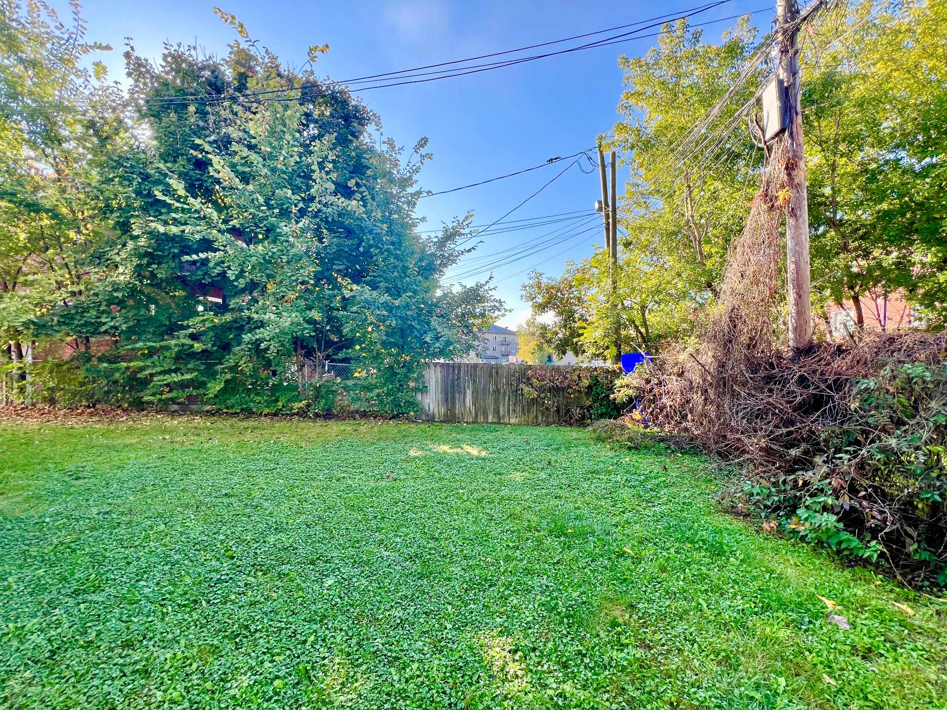 Backyard