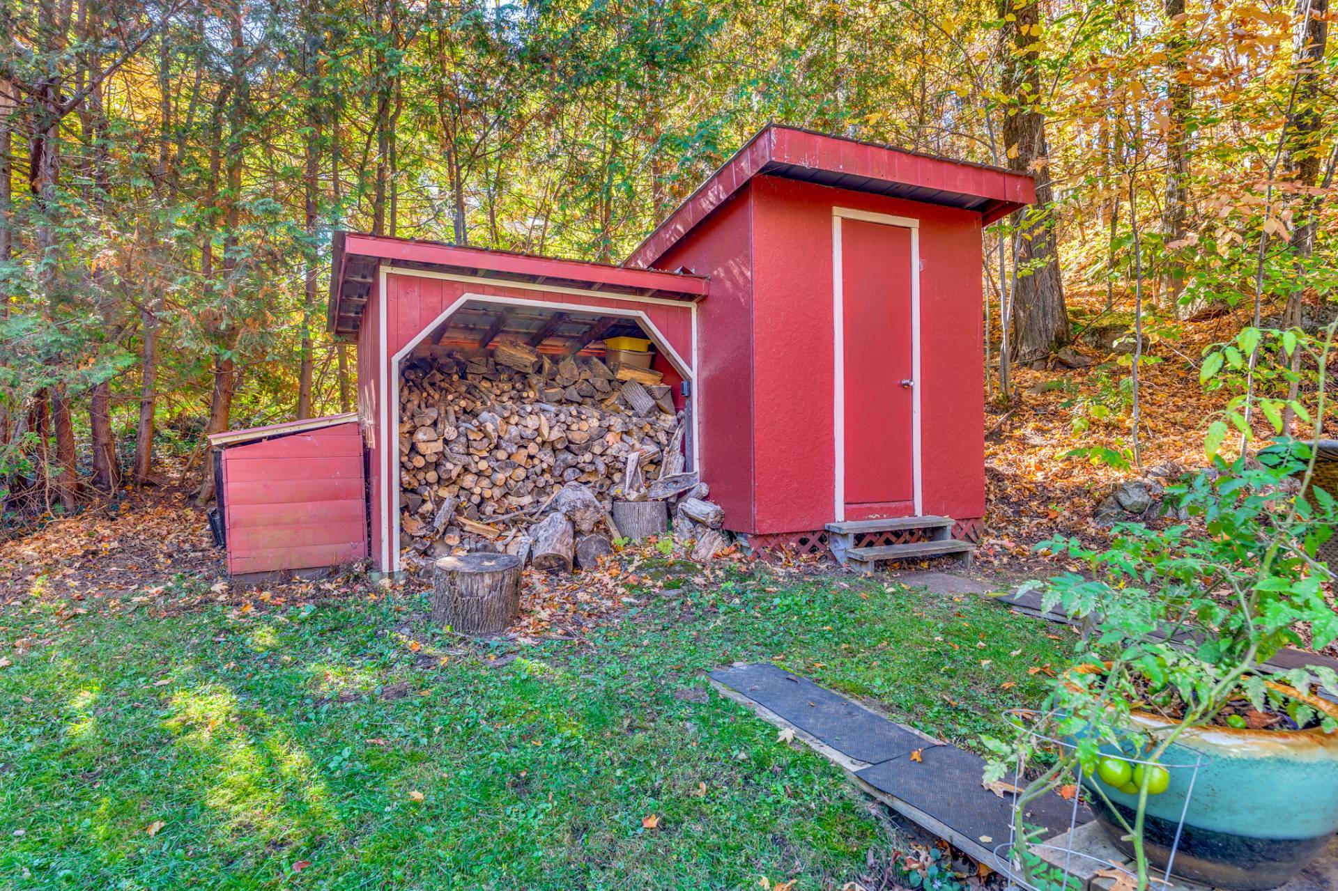 Shed