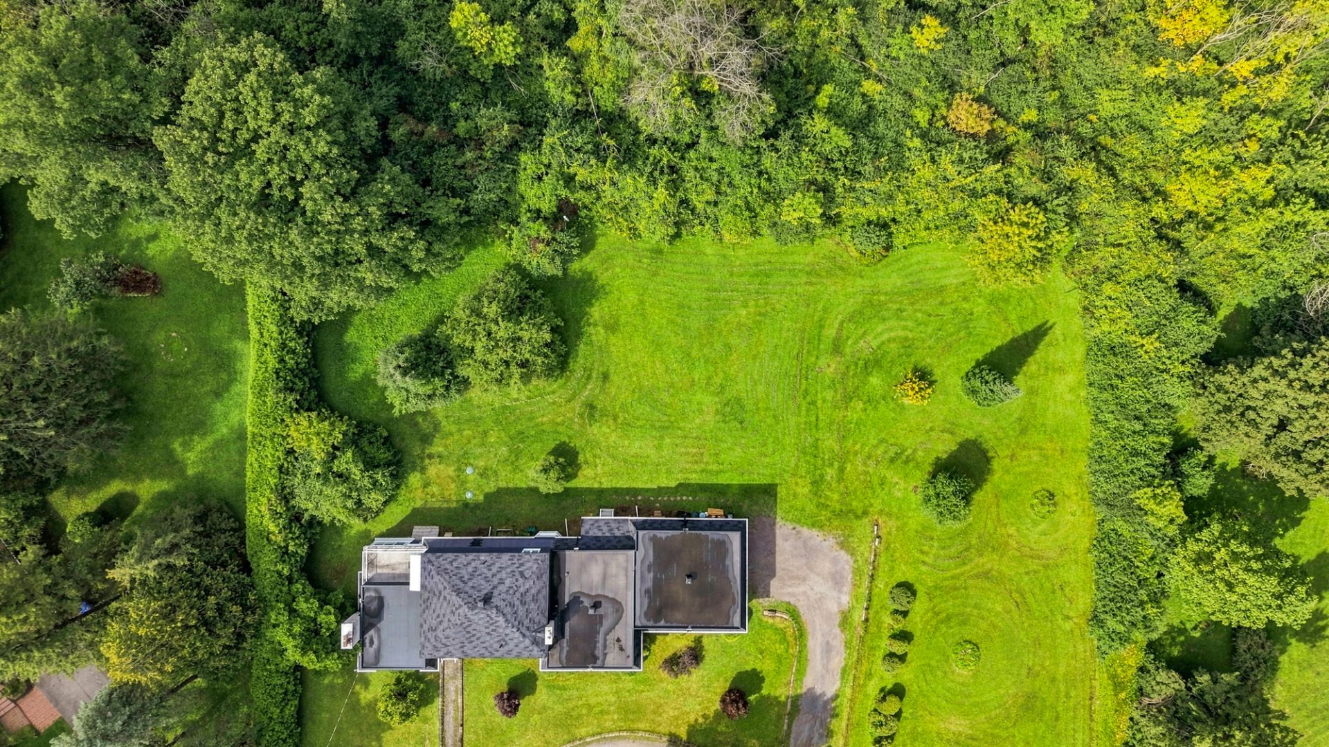 Aerial photo