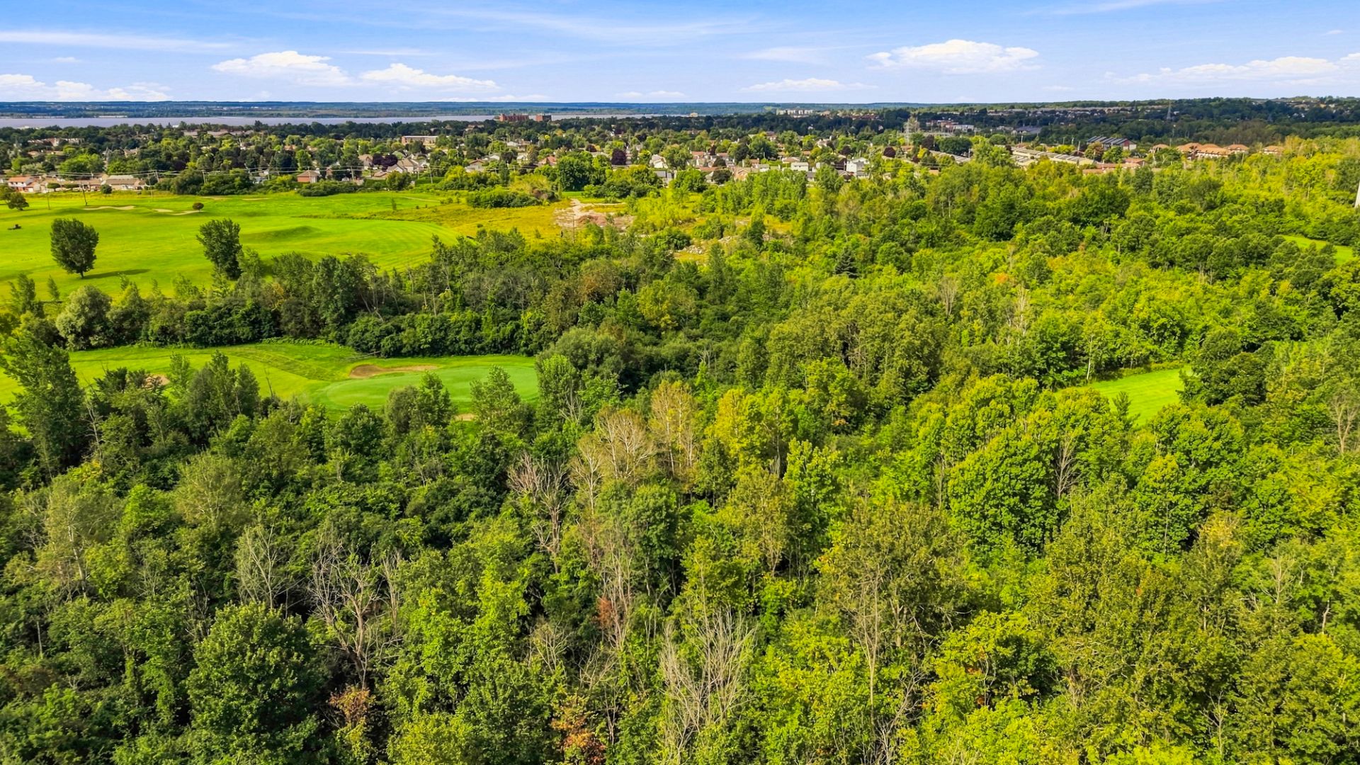 Aerial photo