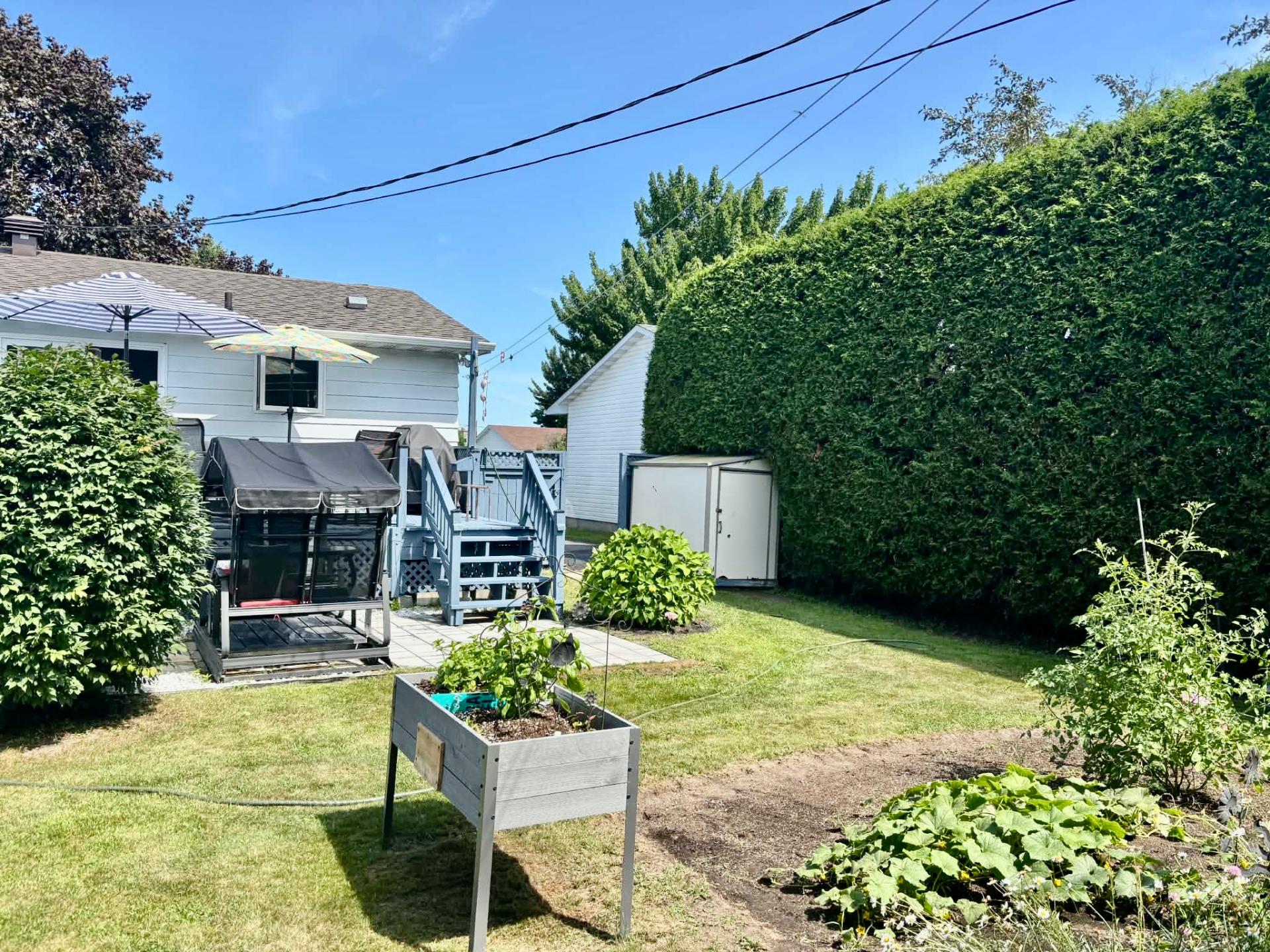 Backyard