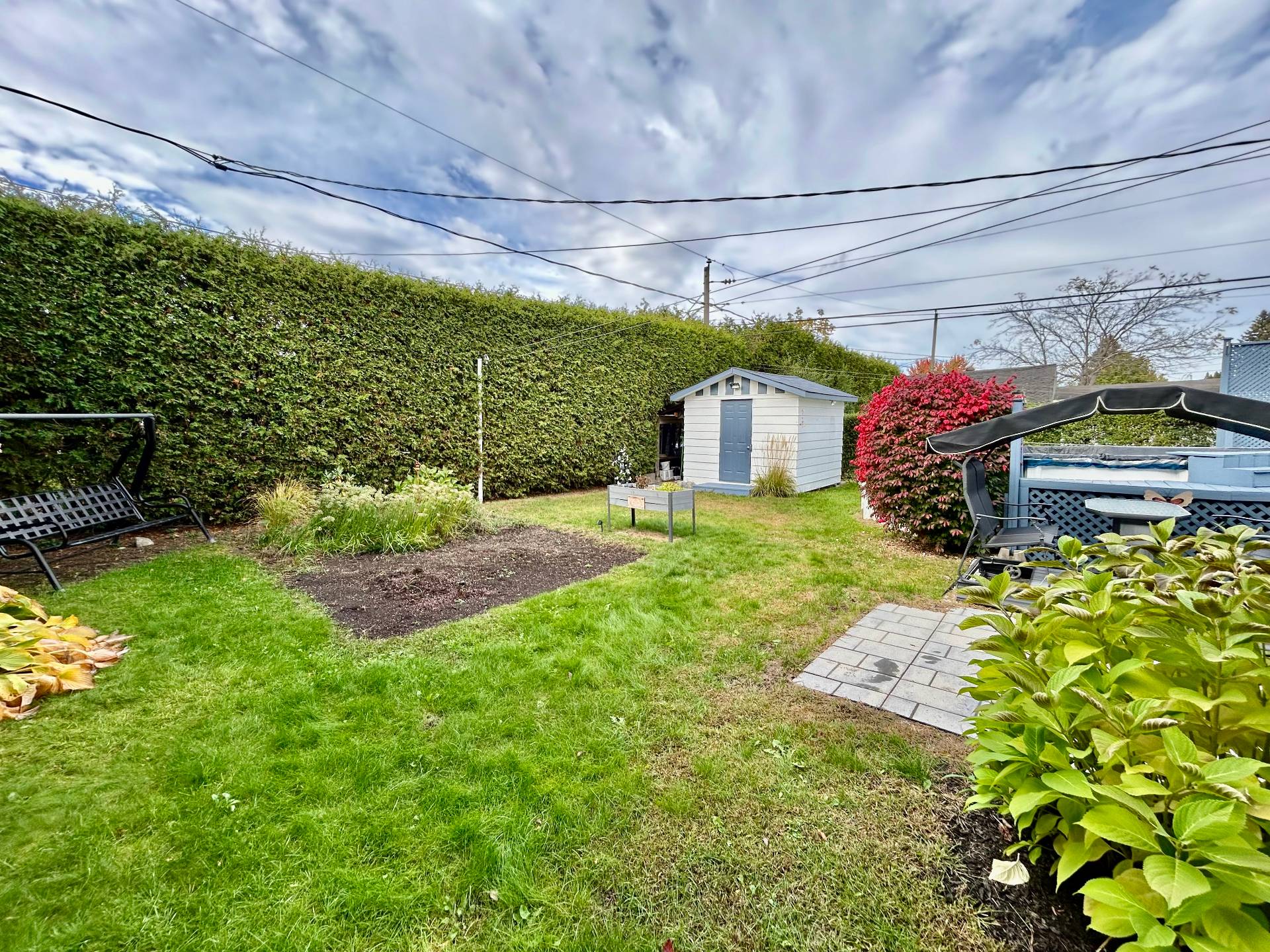 Backyard