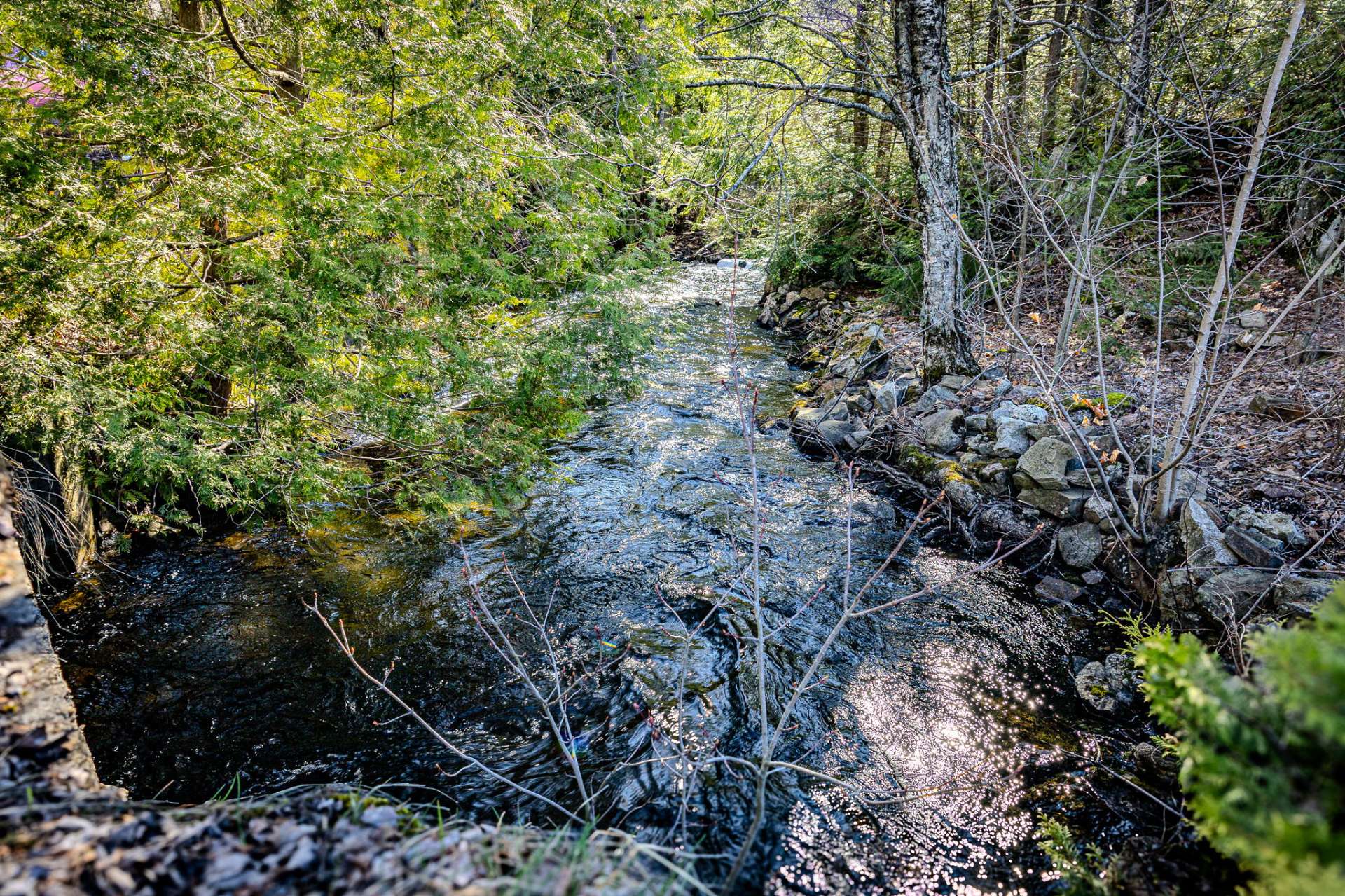 Bord de l'eau
