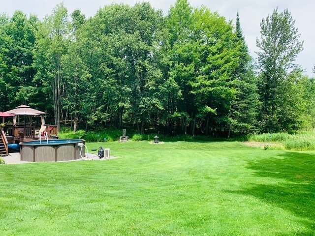 Backyard - Summer picture by client