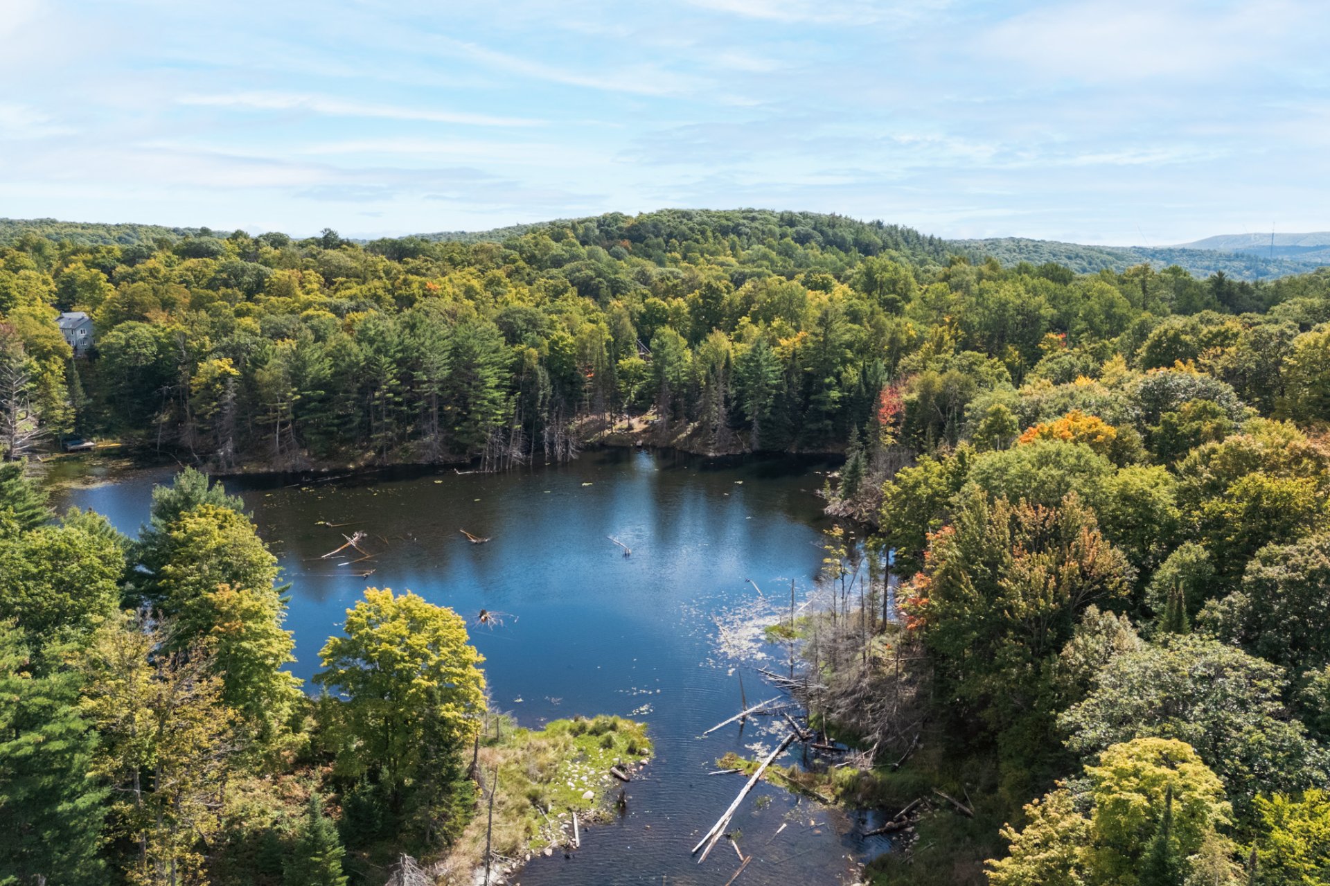 Vue sur l'eau