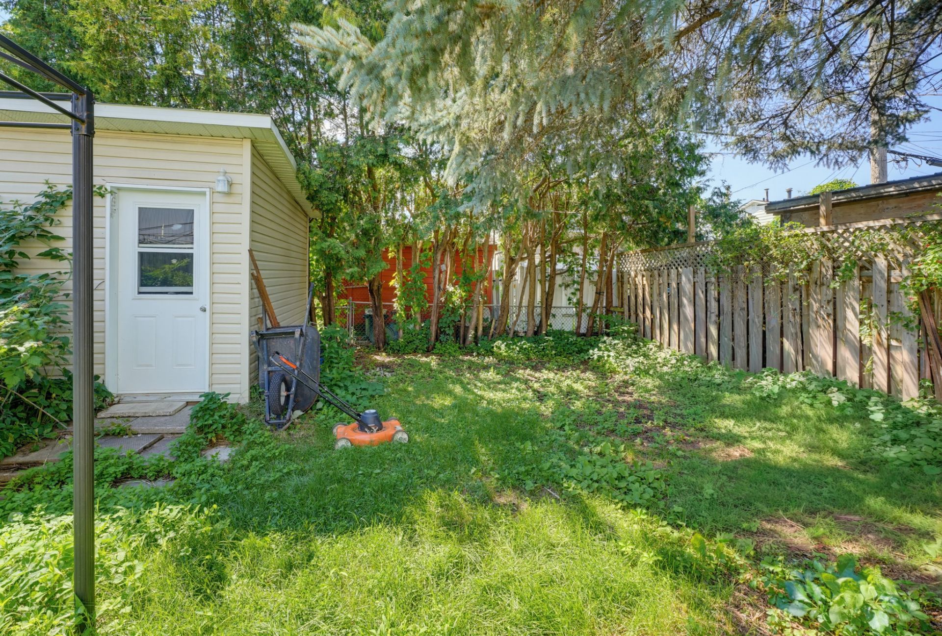 Backyard