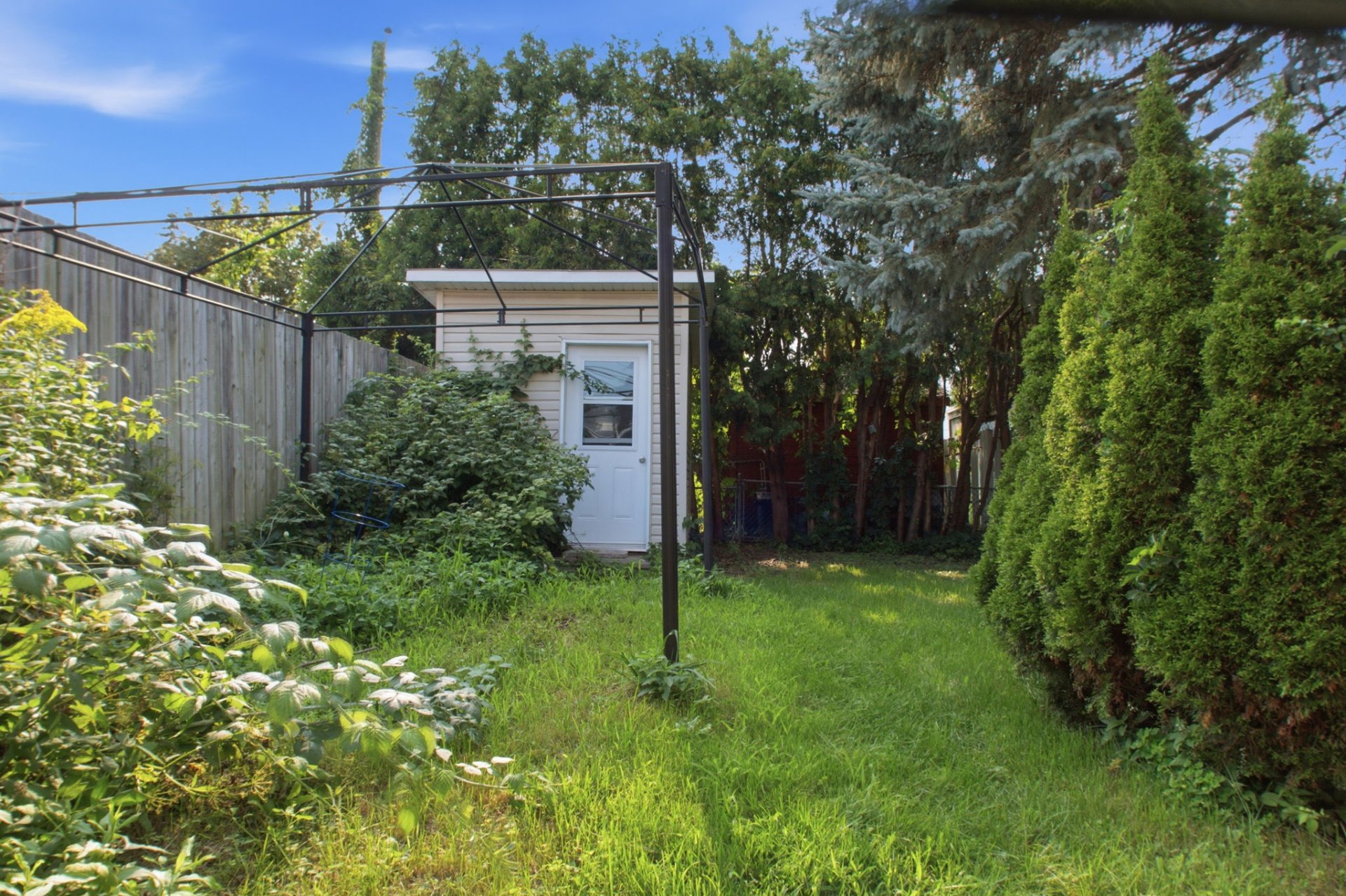 Backyard