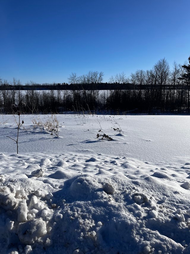 2691 Ch. Salomon-Dicaire 