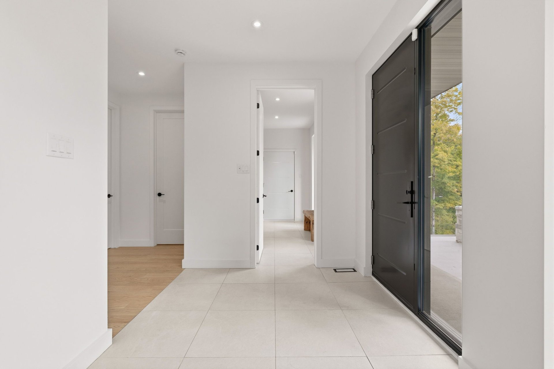 Hall d'entrée/Vestibule