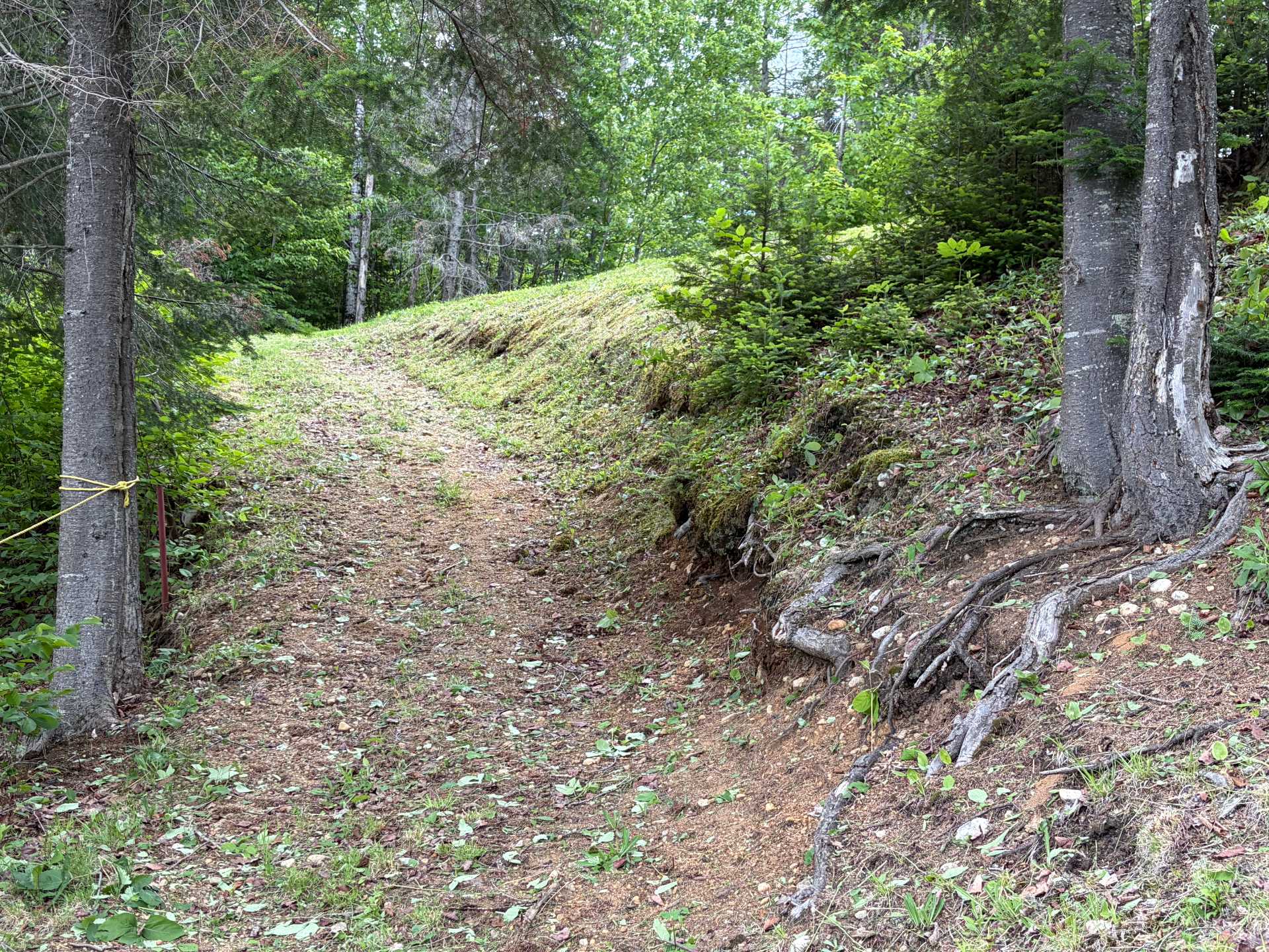 Land/Lot