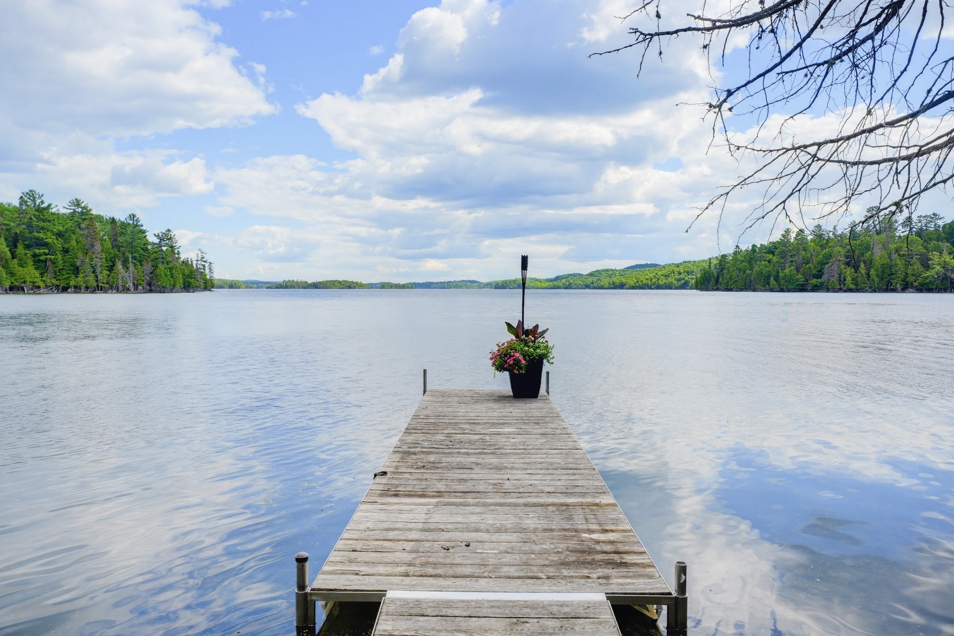 Waterfront
