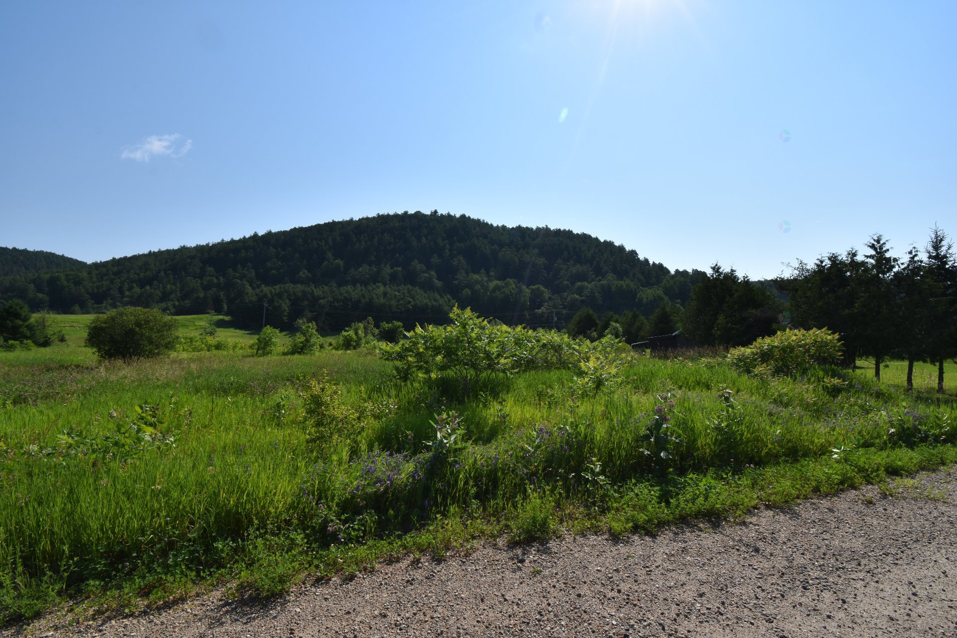 Terre/Terrain
