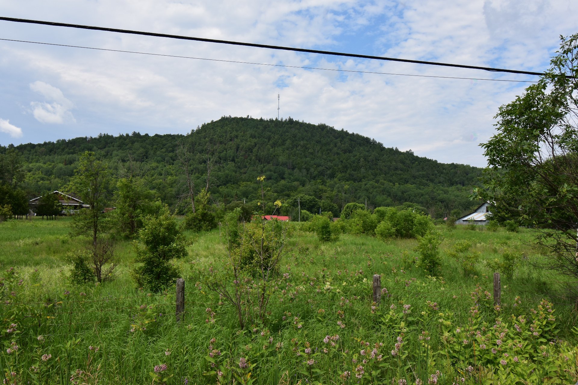 Terre/Terrain