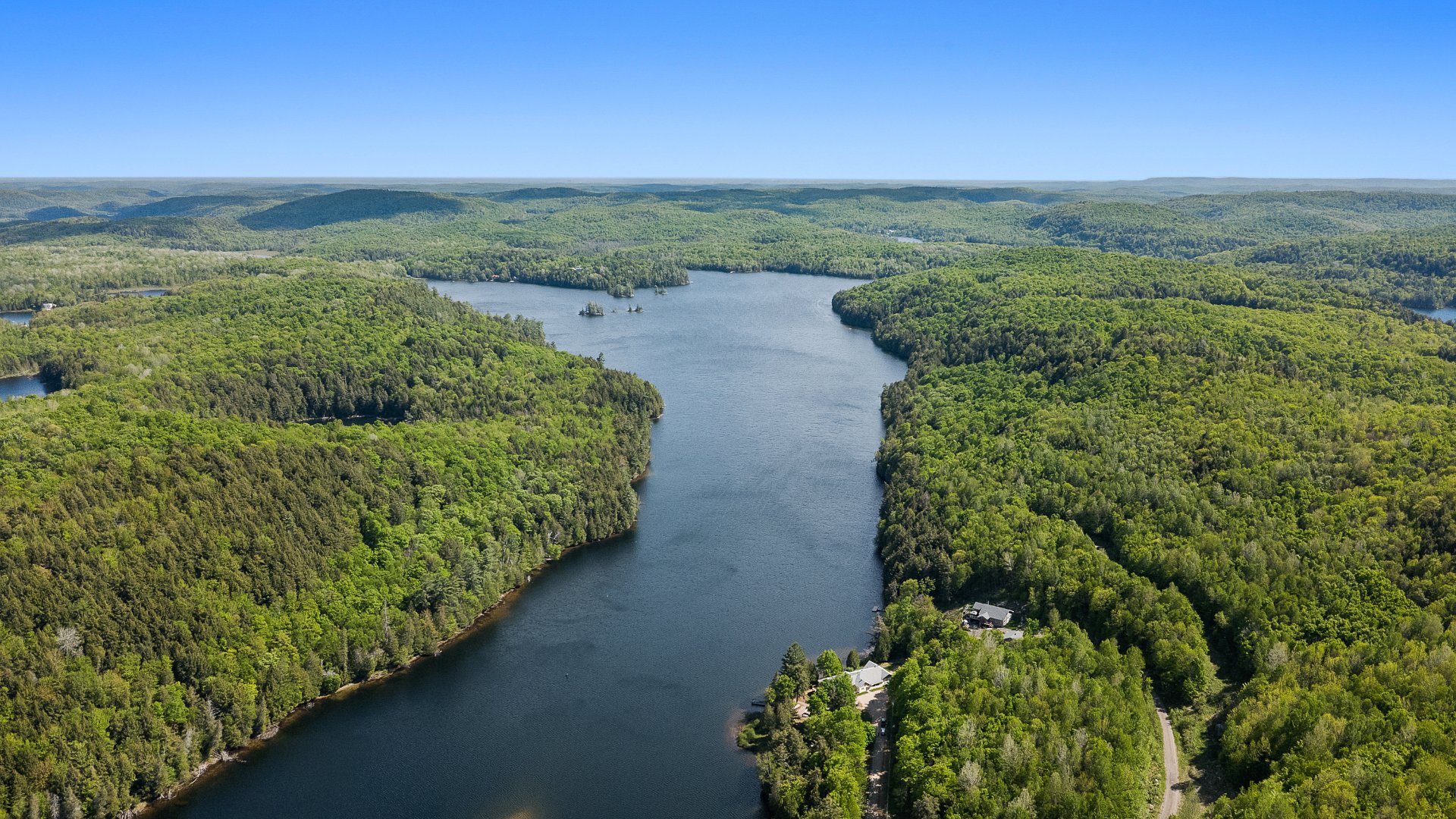 Overall View
